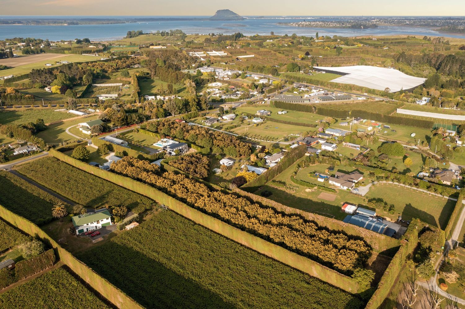 Aerial drone view of scenic agricultural farmland with roads and houses along coastal hills on a clear day.