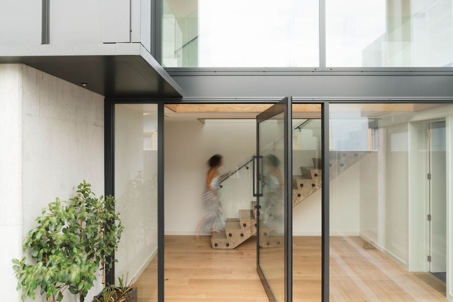 Light-filled modern interior with glass walls, white finishes and indoor plants.
