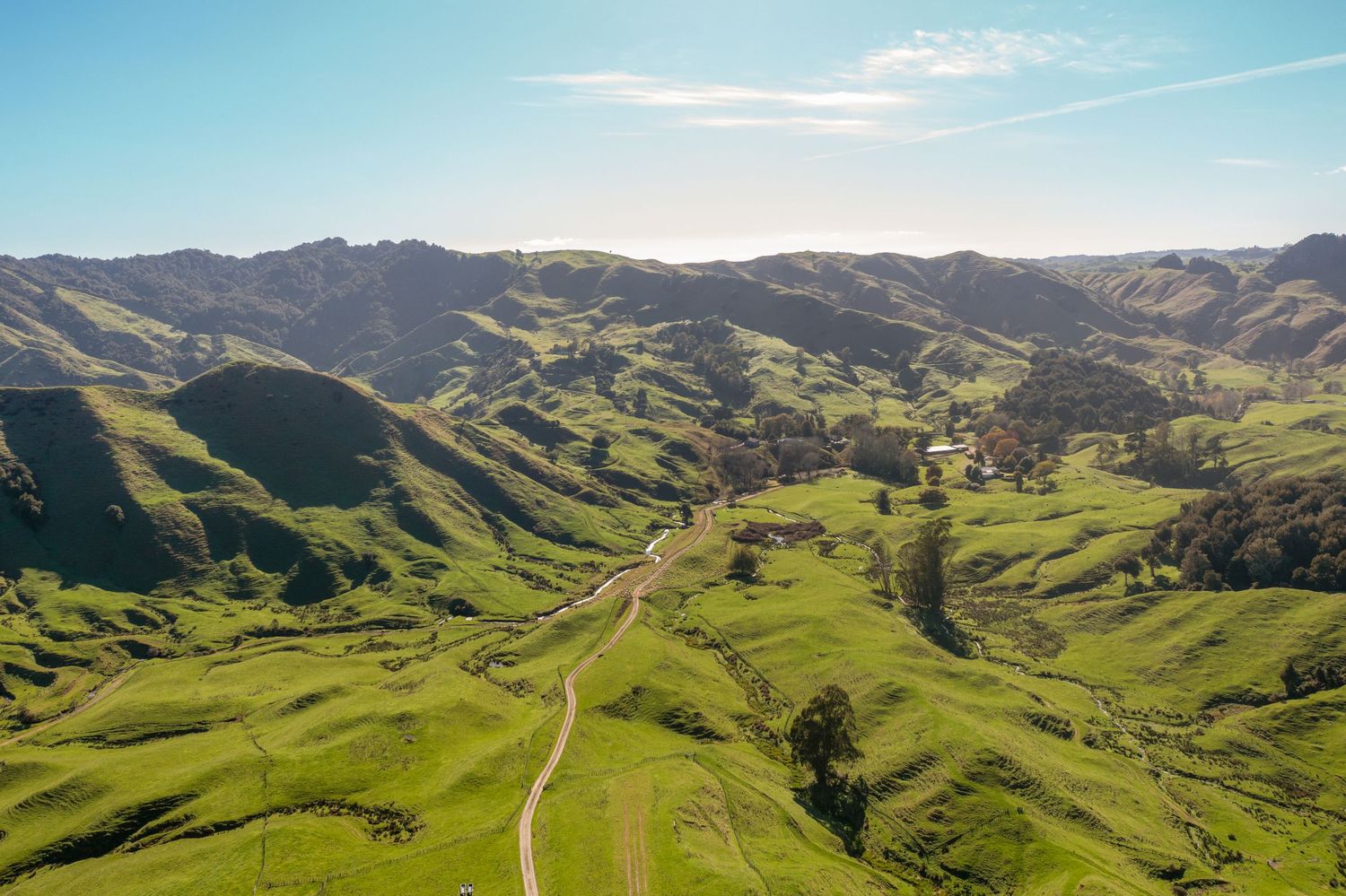 Rolling green hills stretch across a scenic California landscape with winding dirt roads under a bright blue sky.