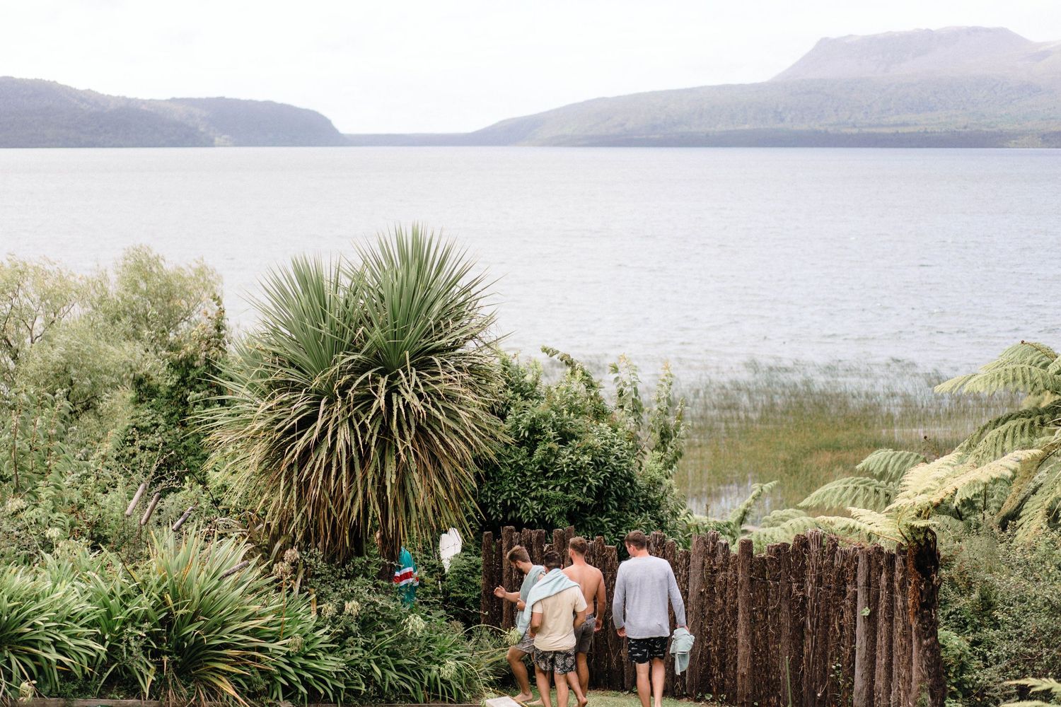People walking down a coastal path with palm trees and ocean views in the background.