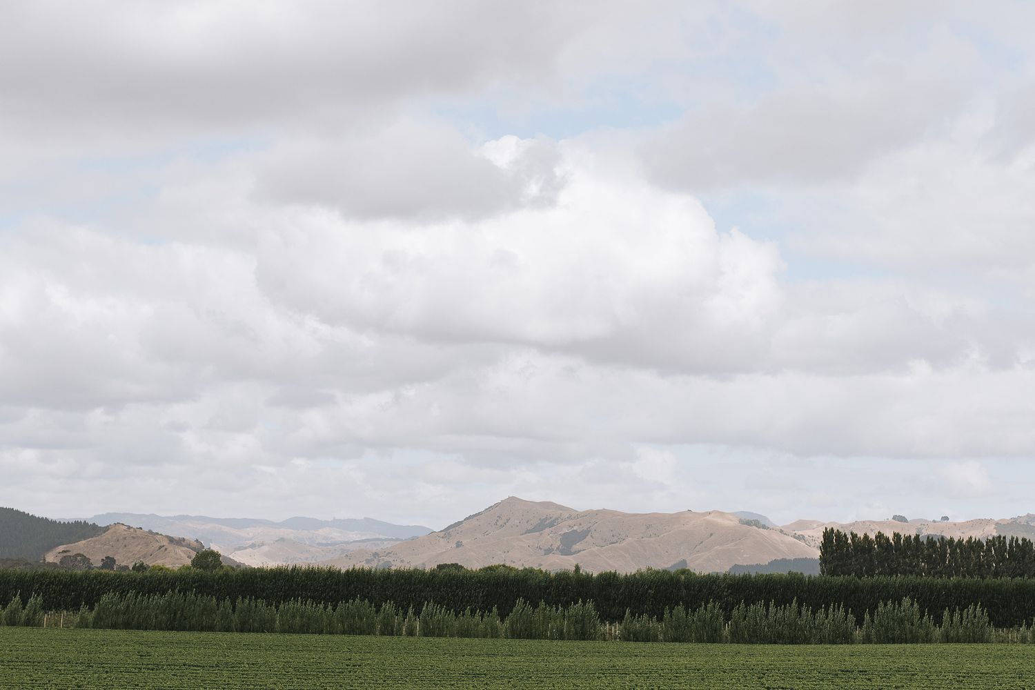 A panoramic view of a cloudy sky over rolling hills with mountains and evergreen forests in the distance.
