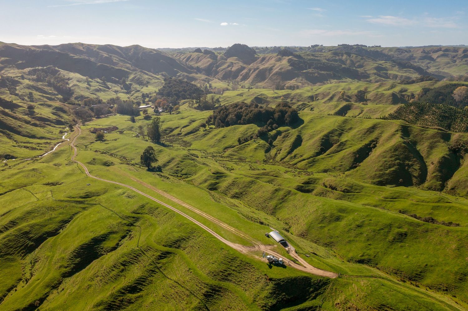 Panoramic view of winding roads through rolling green hills and lush valleys in New Zealand's pastoral landscape.