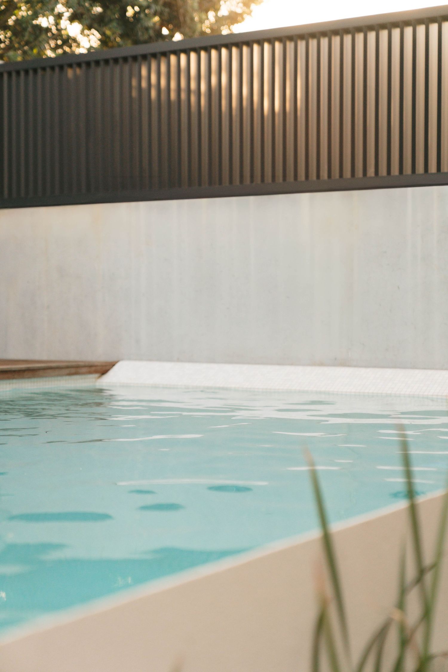 Modern outdoor swimming pool with clear turquoise water, concrete surround, and dark slatted fence in warm sunlight.