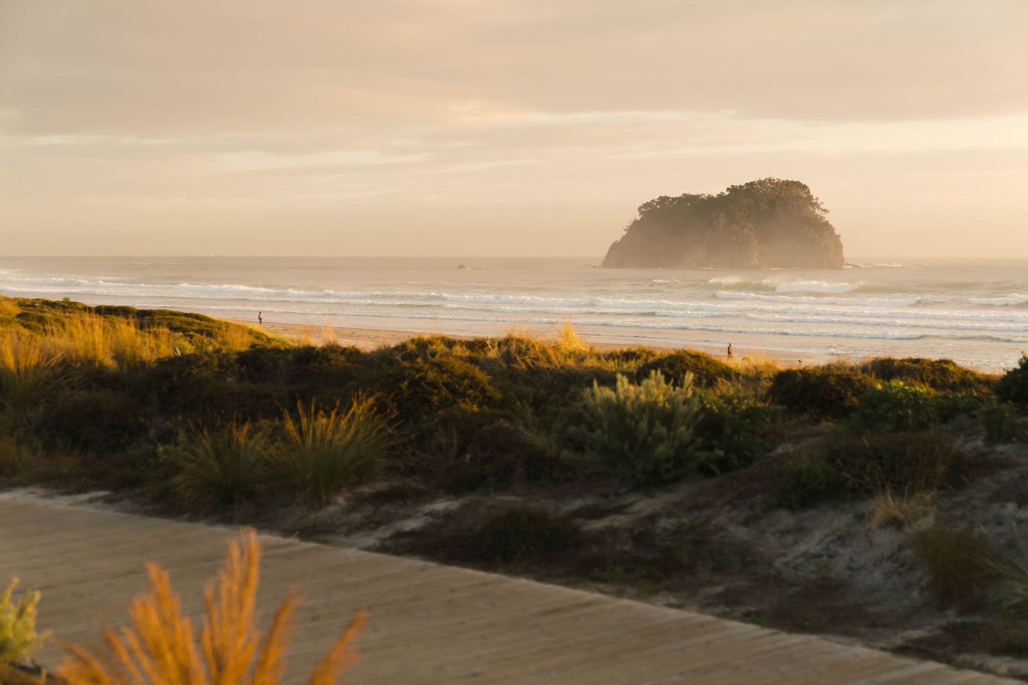 Sunset panorama of a coastal landscape with golden light illuminating the beach and ocean.