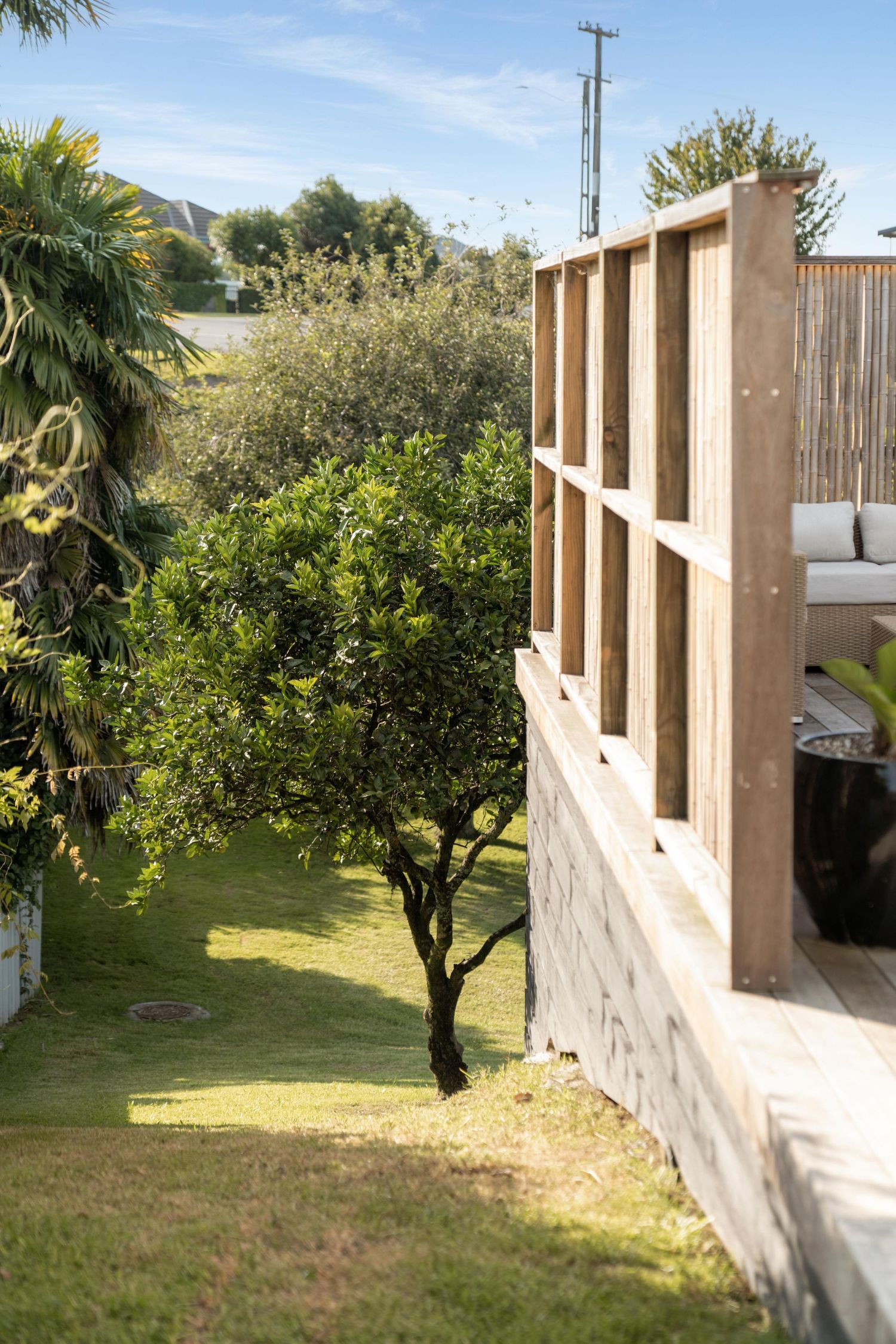 Mediterranean-style garden with palm trees and citrus trees surrounding a stucco building.