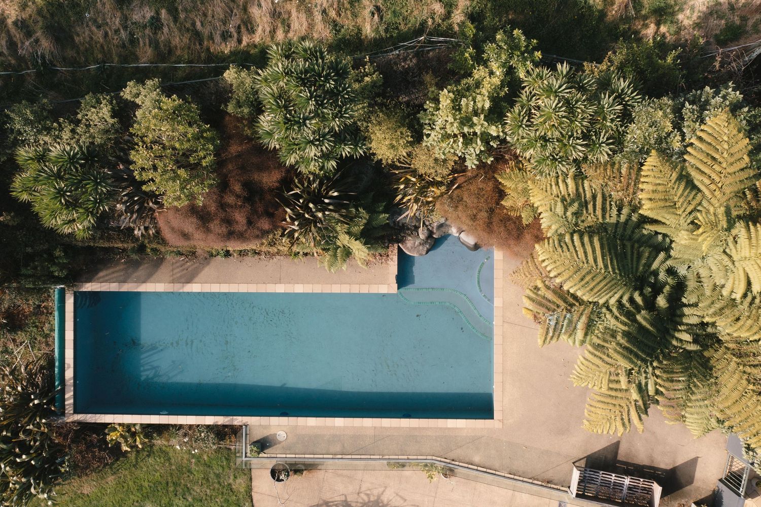 Aerial drone shot of luxury resort swimming pool surrounded by lush tropical palm trees and lounge chairs at sunset.