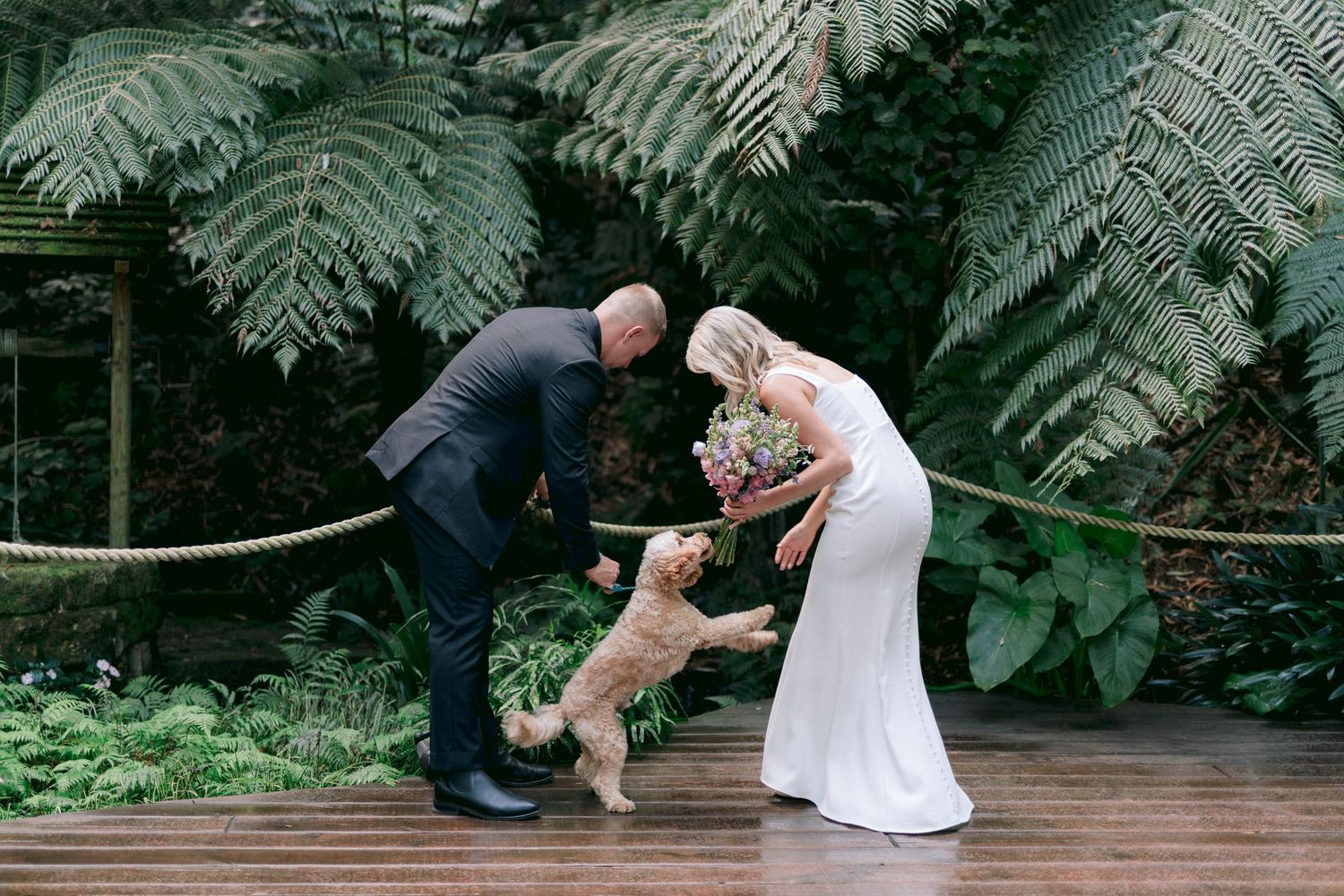 A couple and their dog pose together on a wooden deck surrounded by lush ferns in a natural setting.