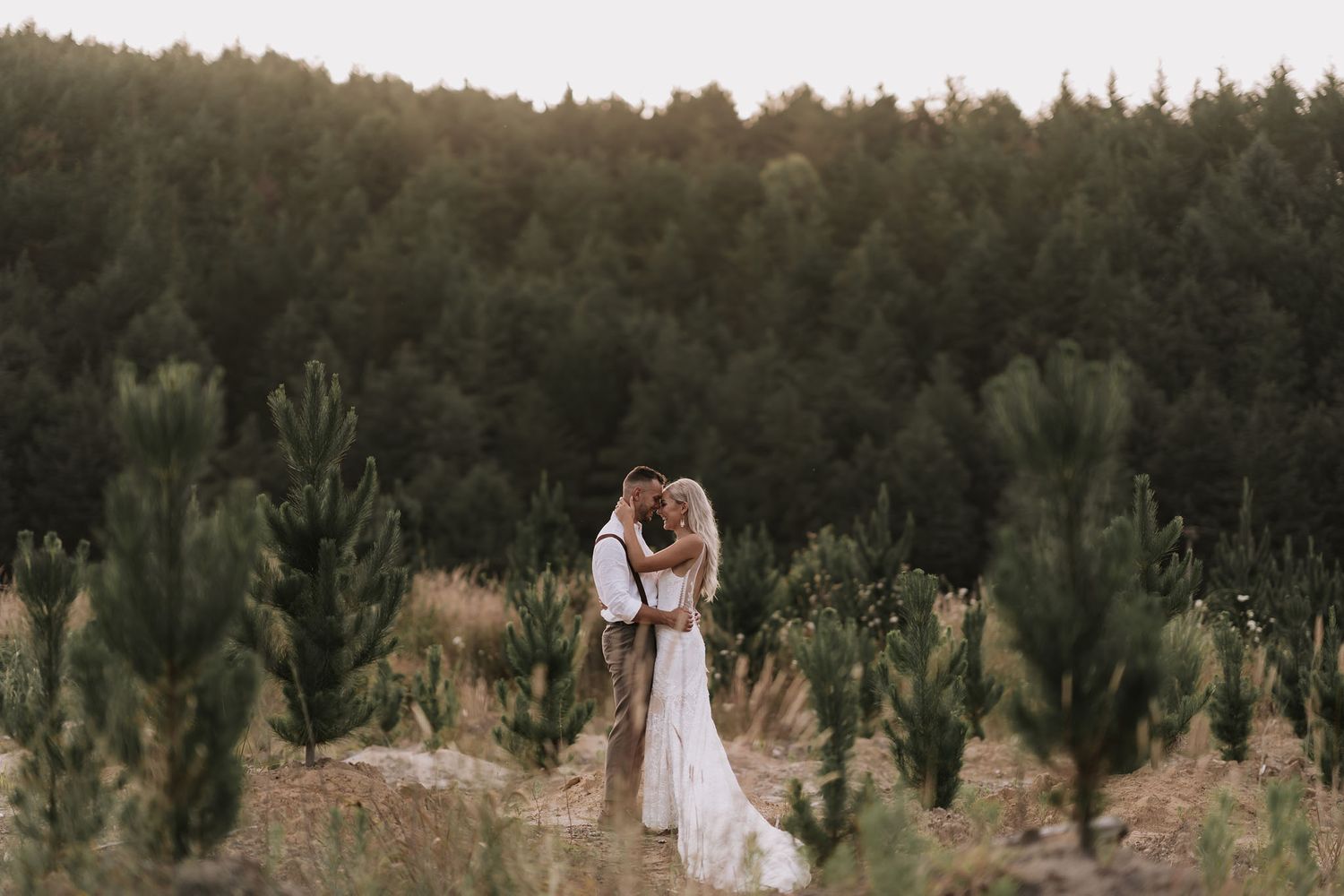 Two people share an intimate moment while standing in a serene pine forest at dusk.