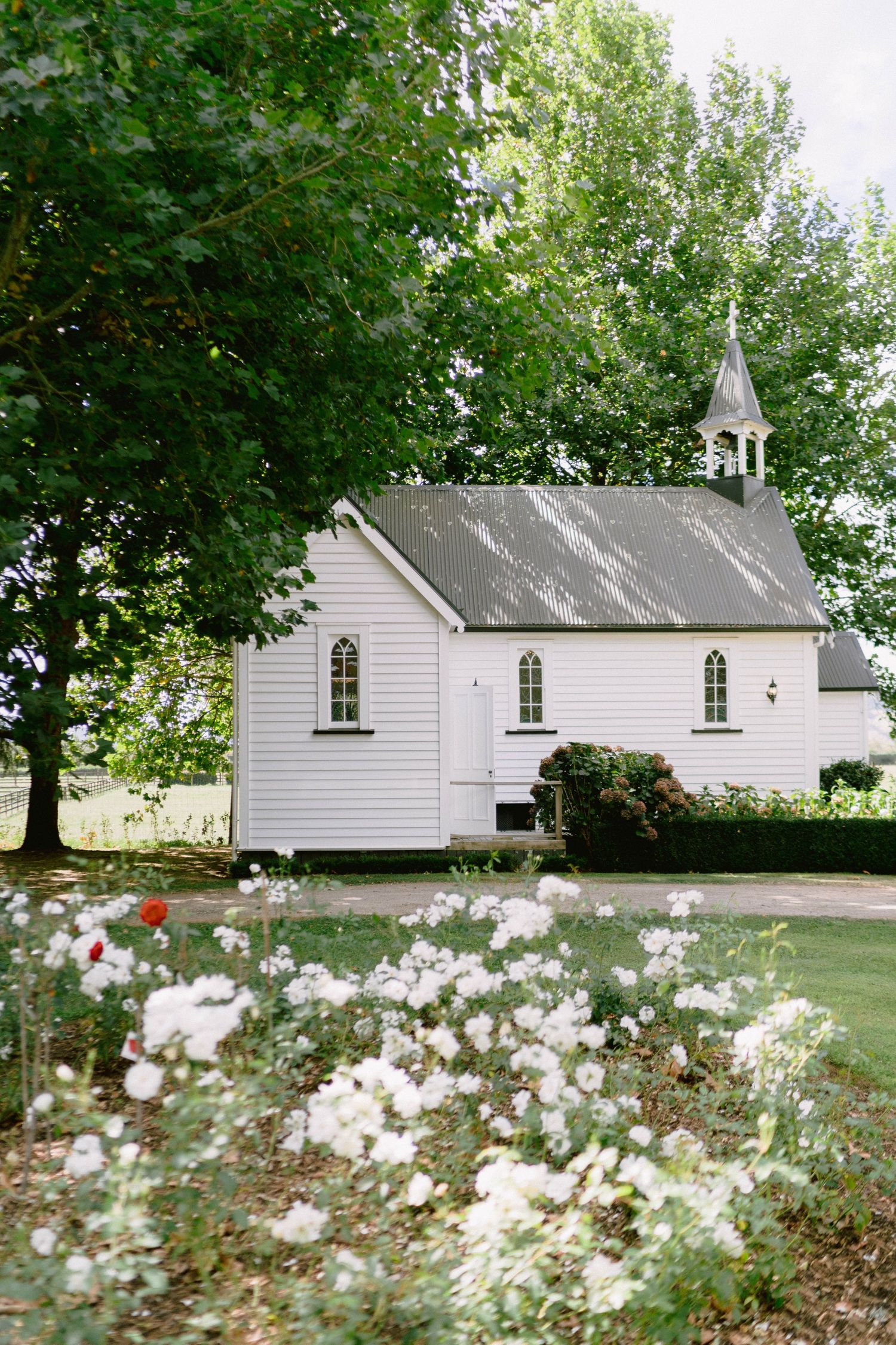 A charming white country church with a steeple surrounded by trees and white flowers in the garden.
