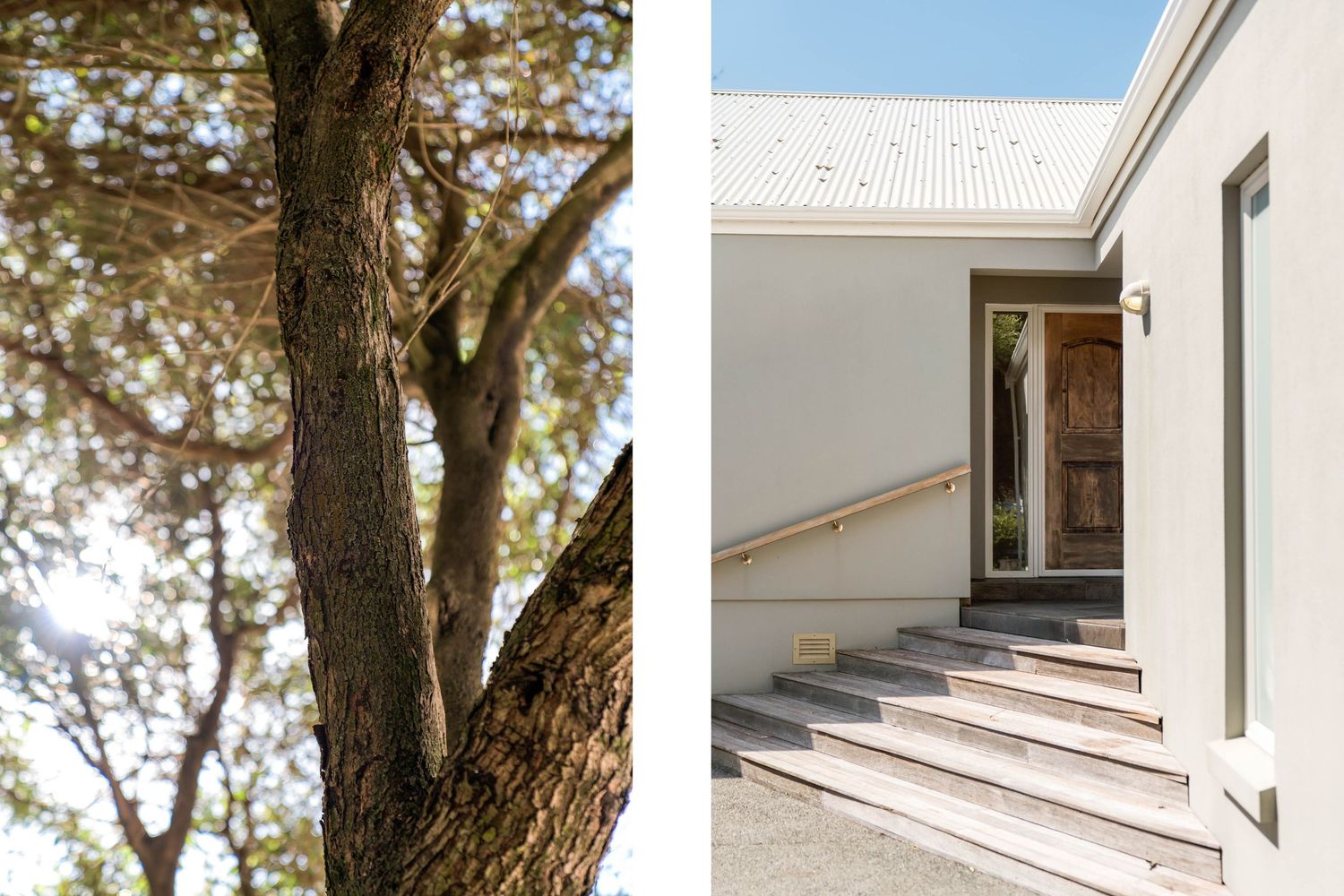 Split image showing a tree trunk close-up and modern white house entrance with concrete steps.