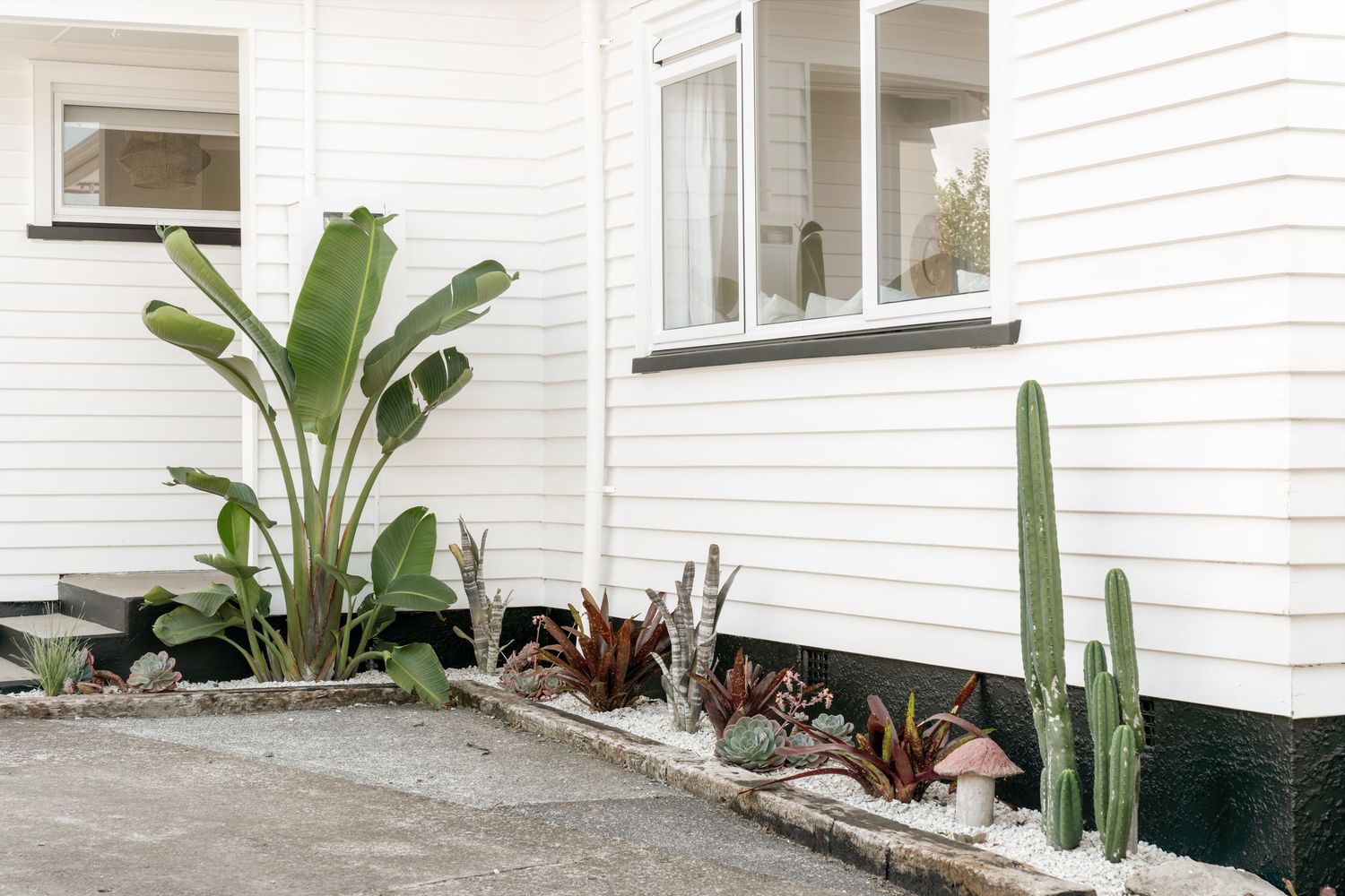 White exterior walls of a modern home with tropical plants and minimalist design features.