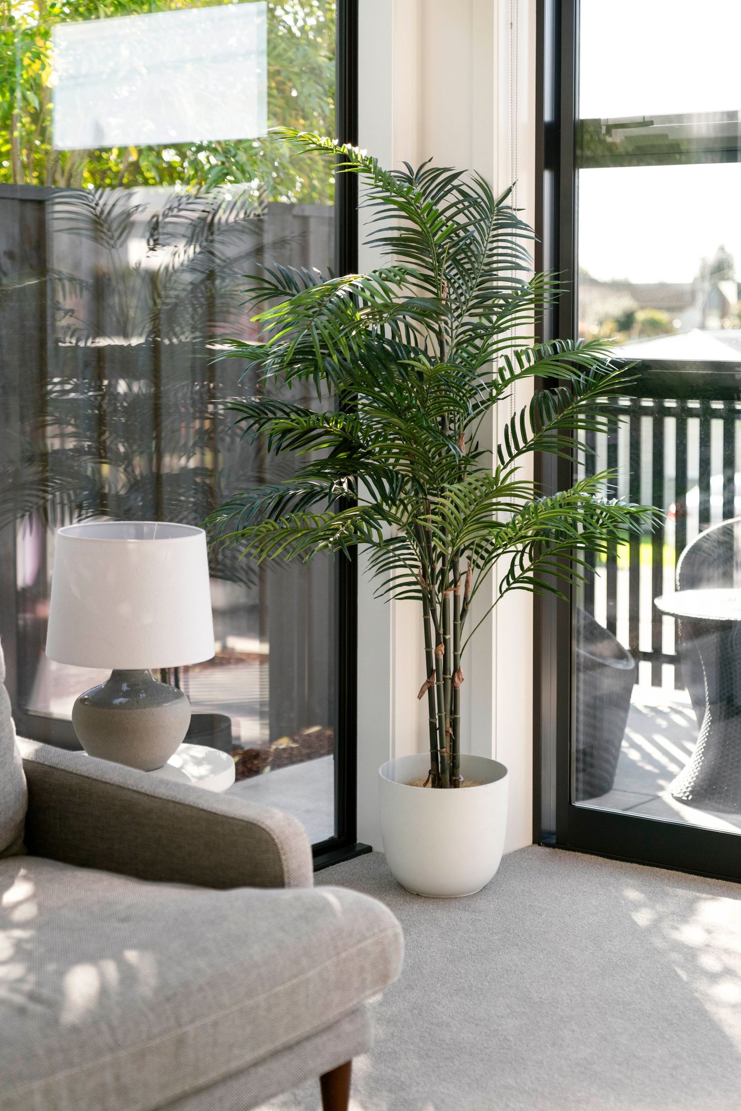 Modern interior space with floor-to-ceiling windows and large tropical plants in white planters.
