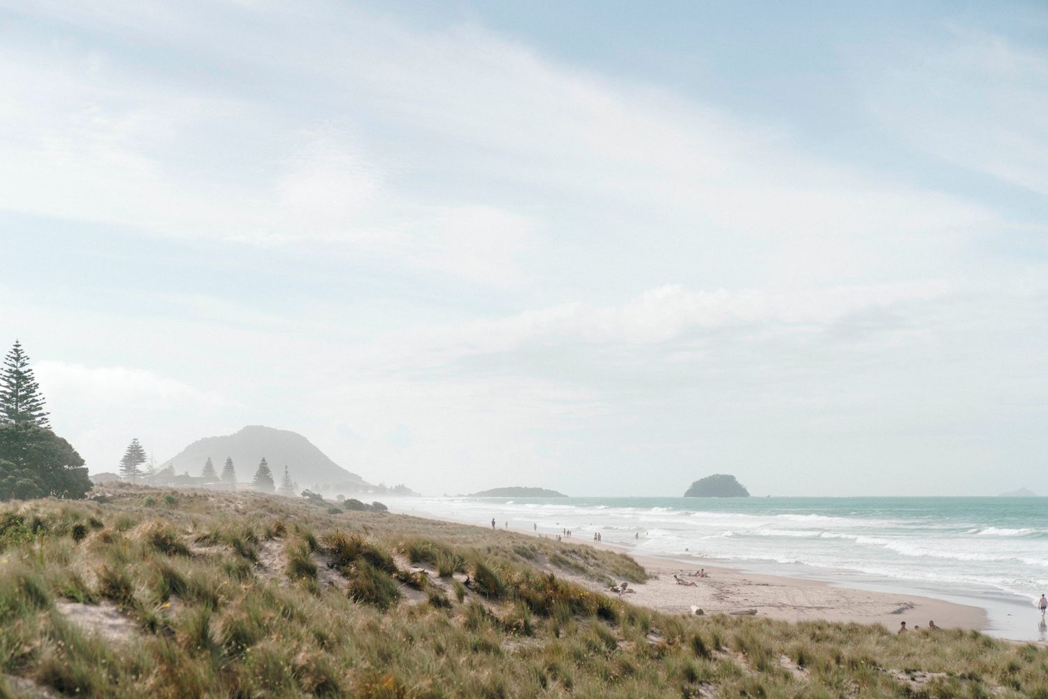 A person walks on a scenic coastal trail with dunes and ocean views creating a tranquil nature landscape.