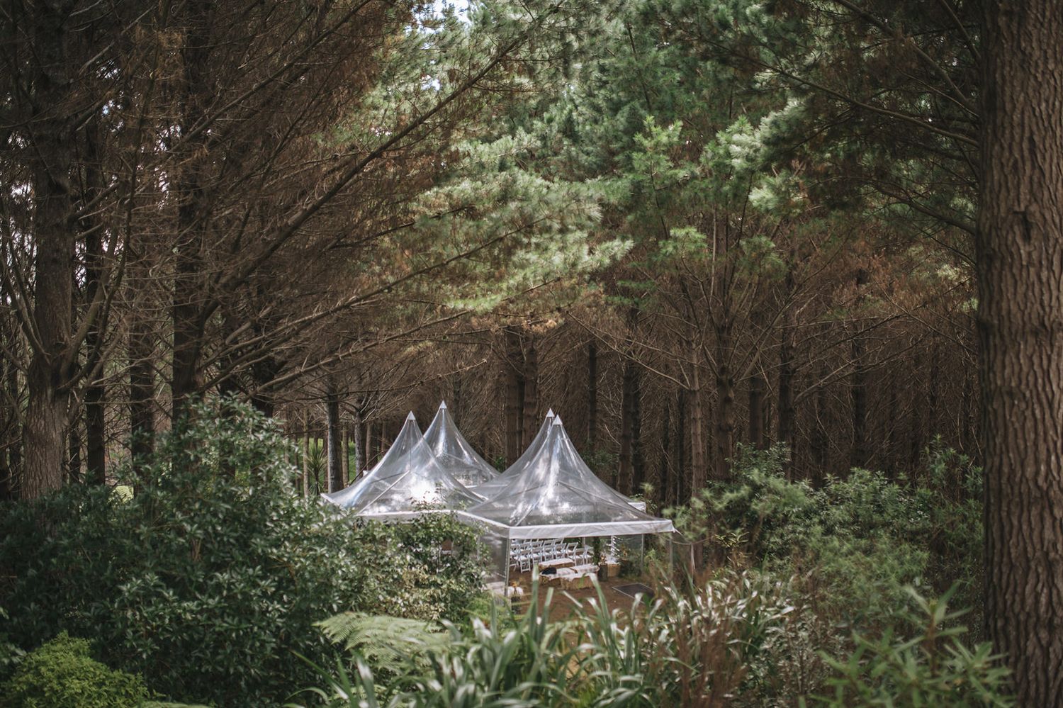 White wedding tent nestled among tall pine trees in a rustic outdoor forest setting creates an elegant event space.