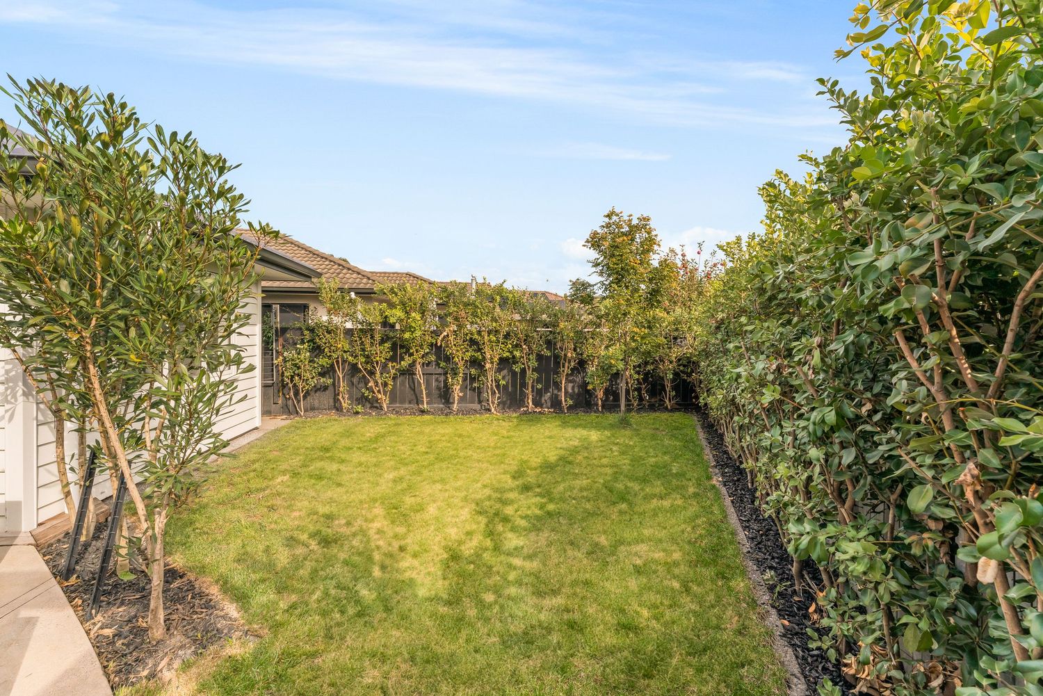Panoramic view of a well-maintained backyard with green lawn and mature trees under blue sky.