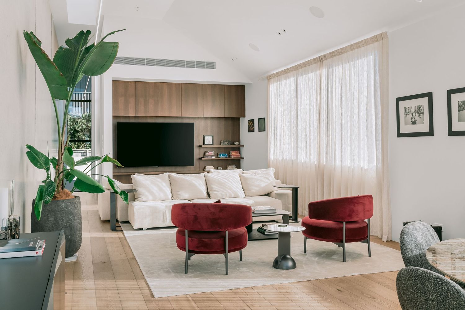 Modern living room with white sofa, red velvet chairs, wood TV wall, sheer curtains, and tropical plant on light hardwood floors.