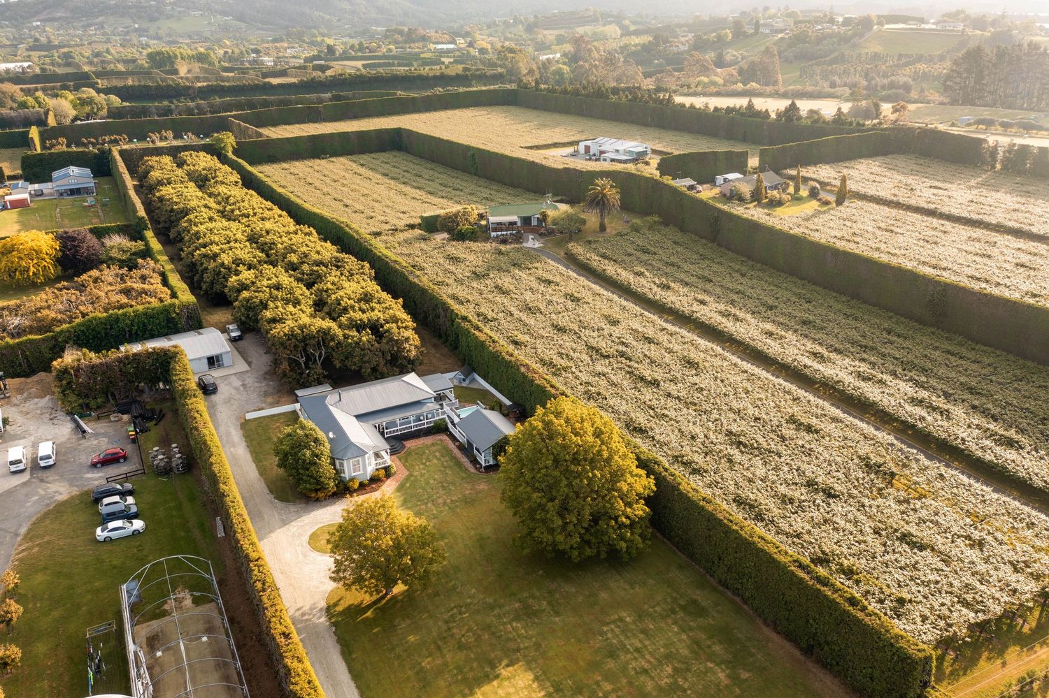 Aerial view of rural farm property with agricultural fields and tree-lined borders in golden afternoon light.