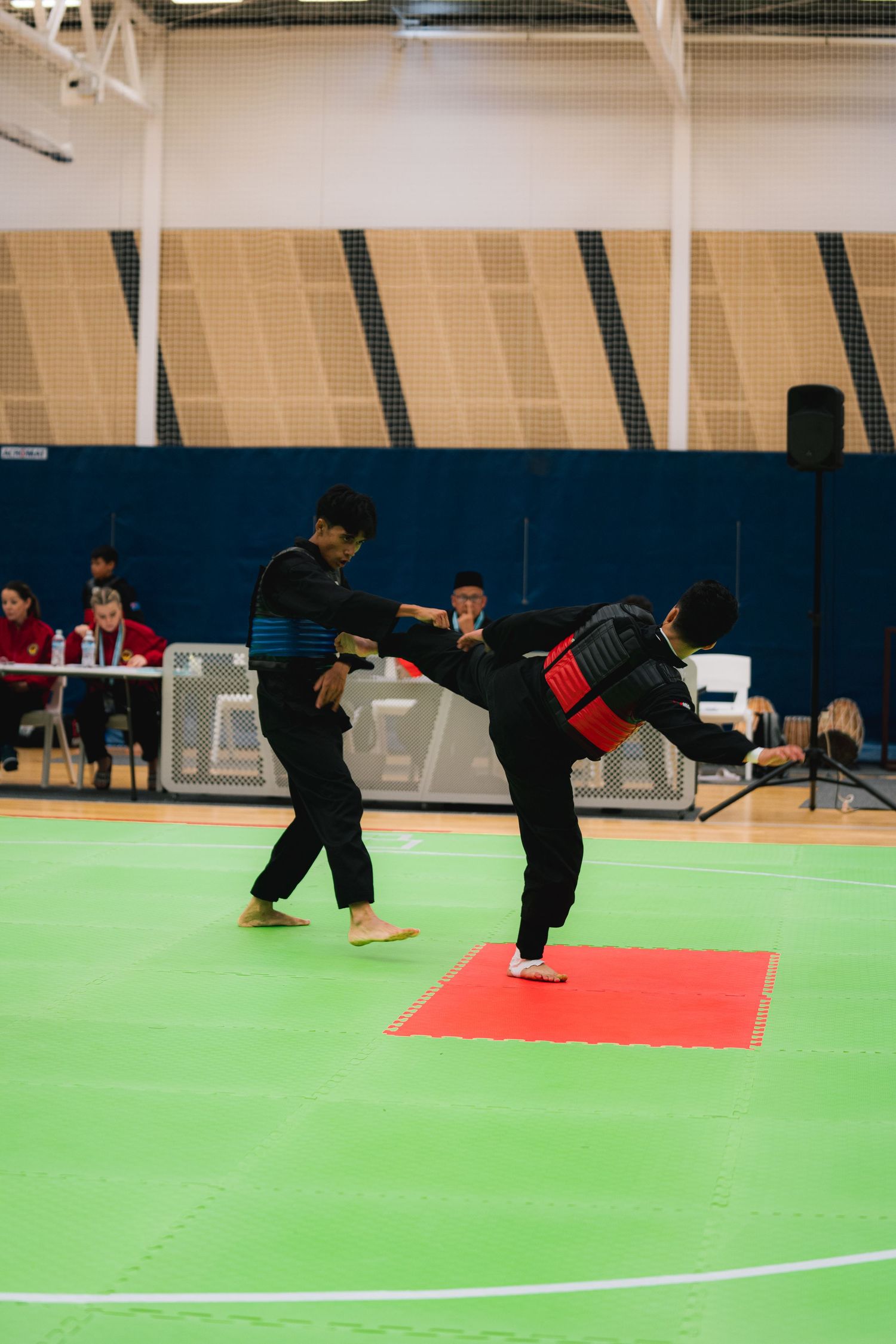Martial artist executes a high kick while sparring on a green competition mat.