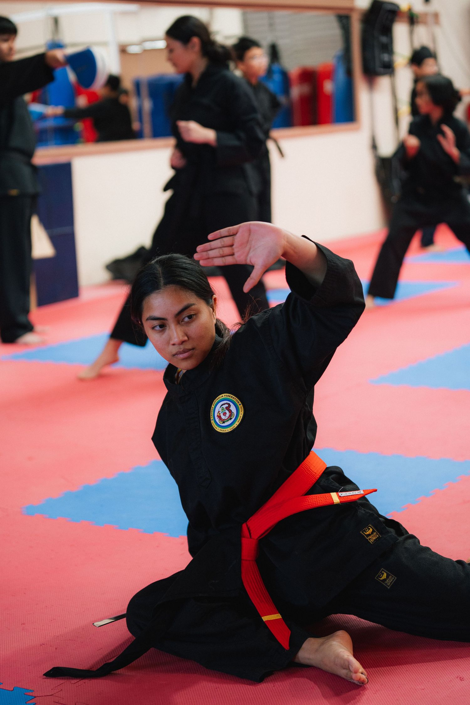 Martial artist in black uniform with red belt performing defensive stance on training mats.
