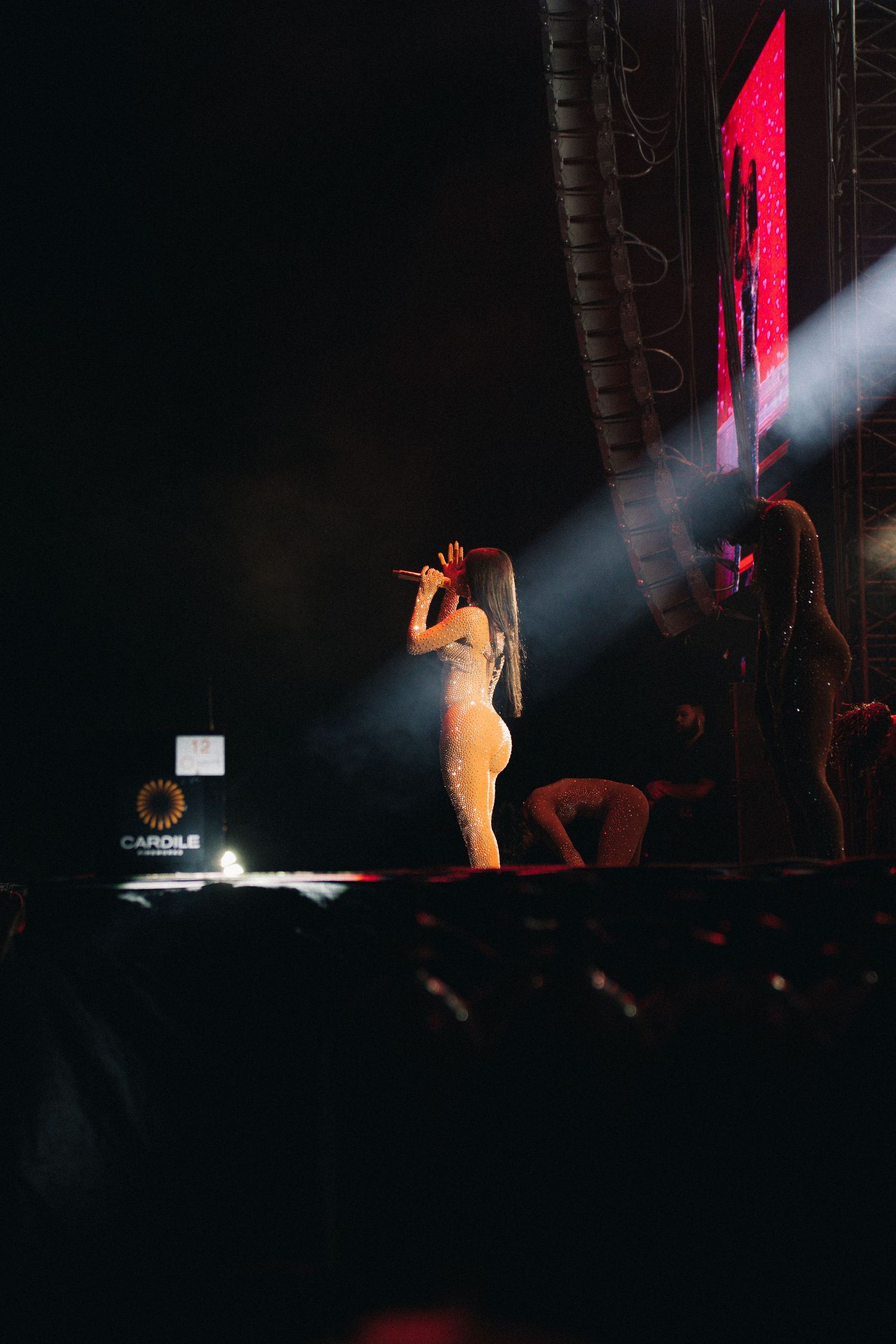 Silhouetted performer on dark stage with dramatic red lighting and white spotlight beam during concert performance.