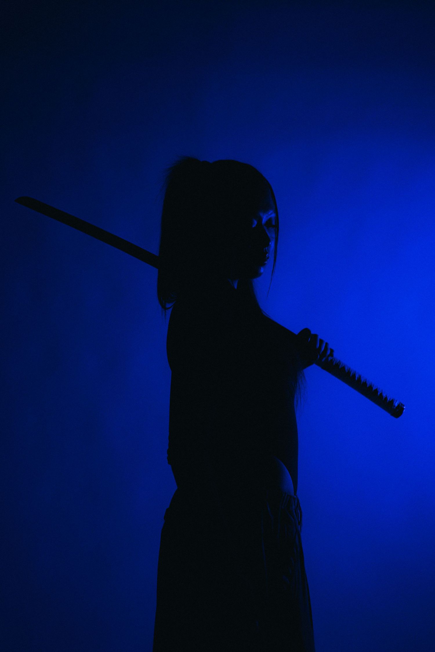 Silhouette of a figure holding a staff or sword against a deep blue backlit background.