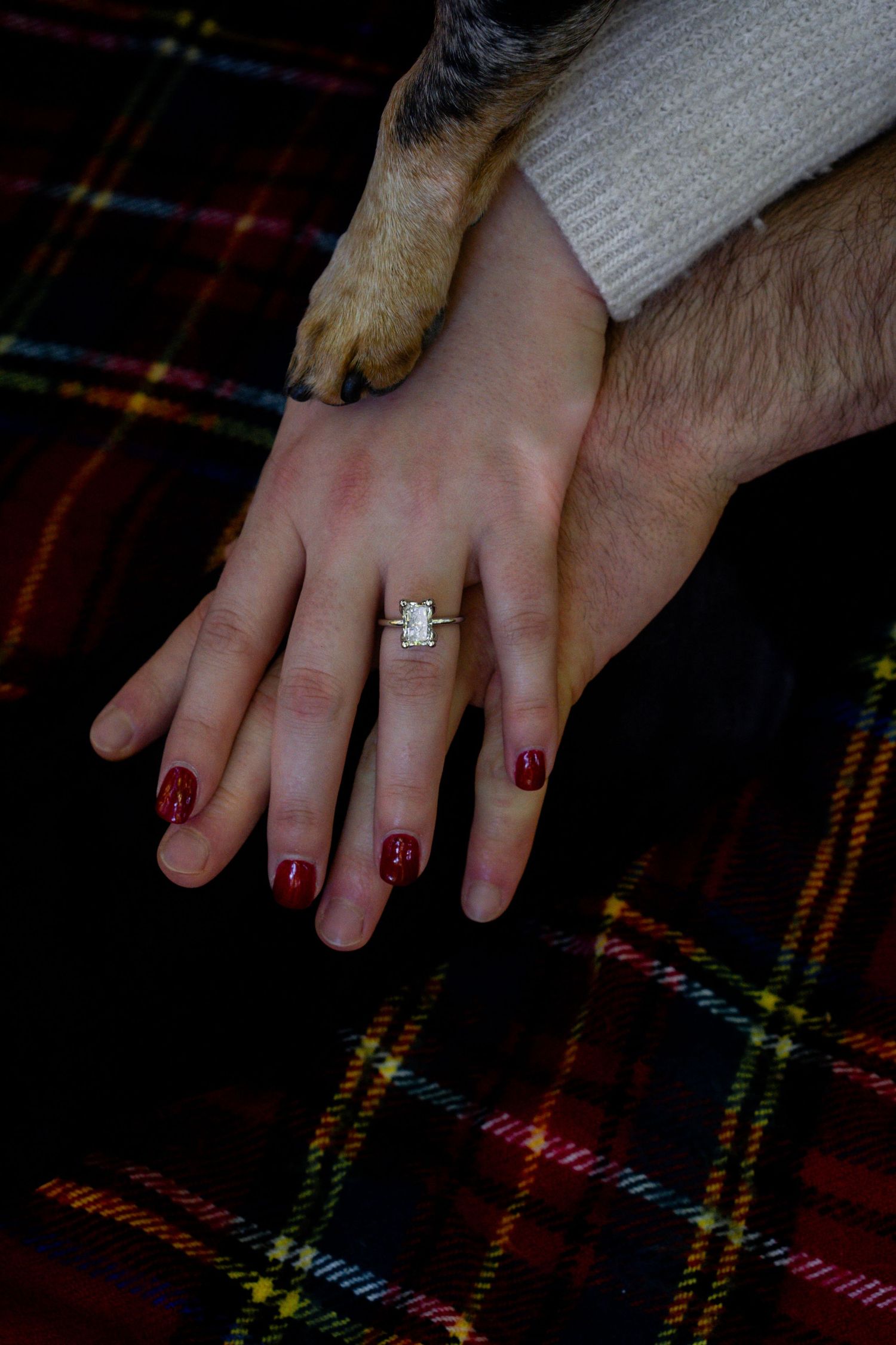 Close-up of hands with red nail polish and an engagement ring resting on a plaid blanket with a dog's paw visible.
