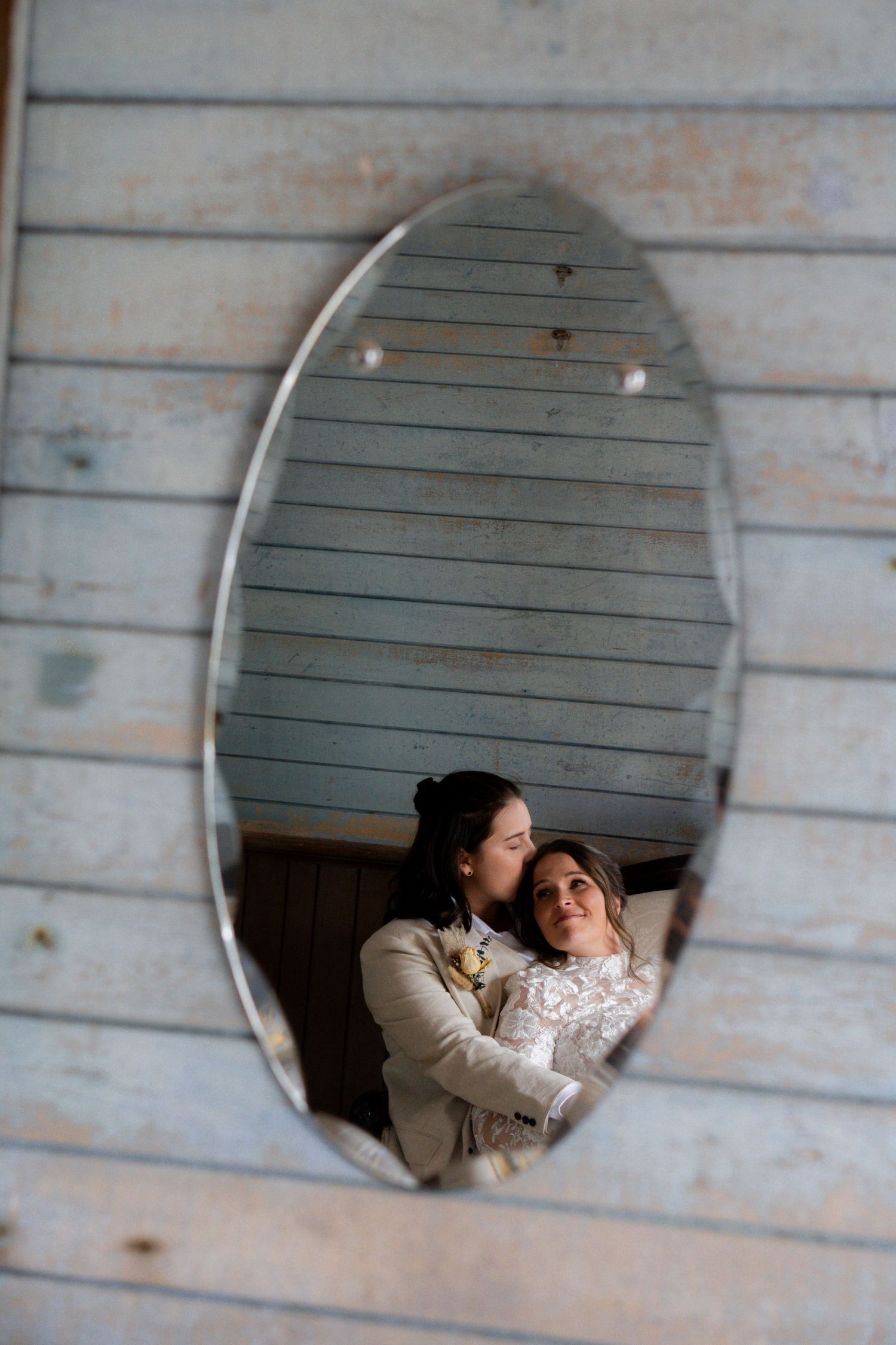 A sequence of playful peeks through circular windows in a rustic wooden wall.