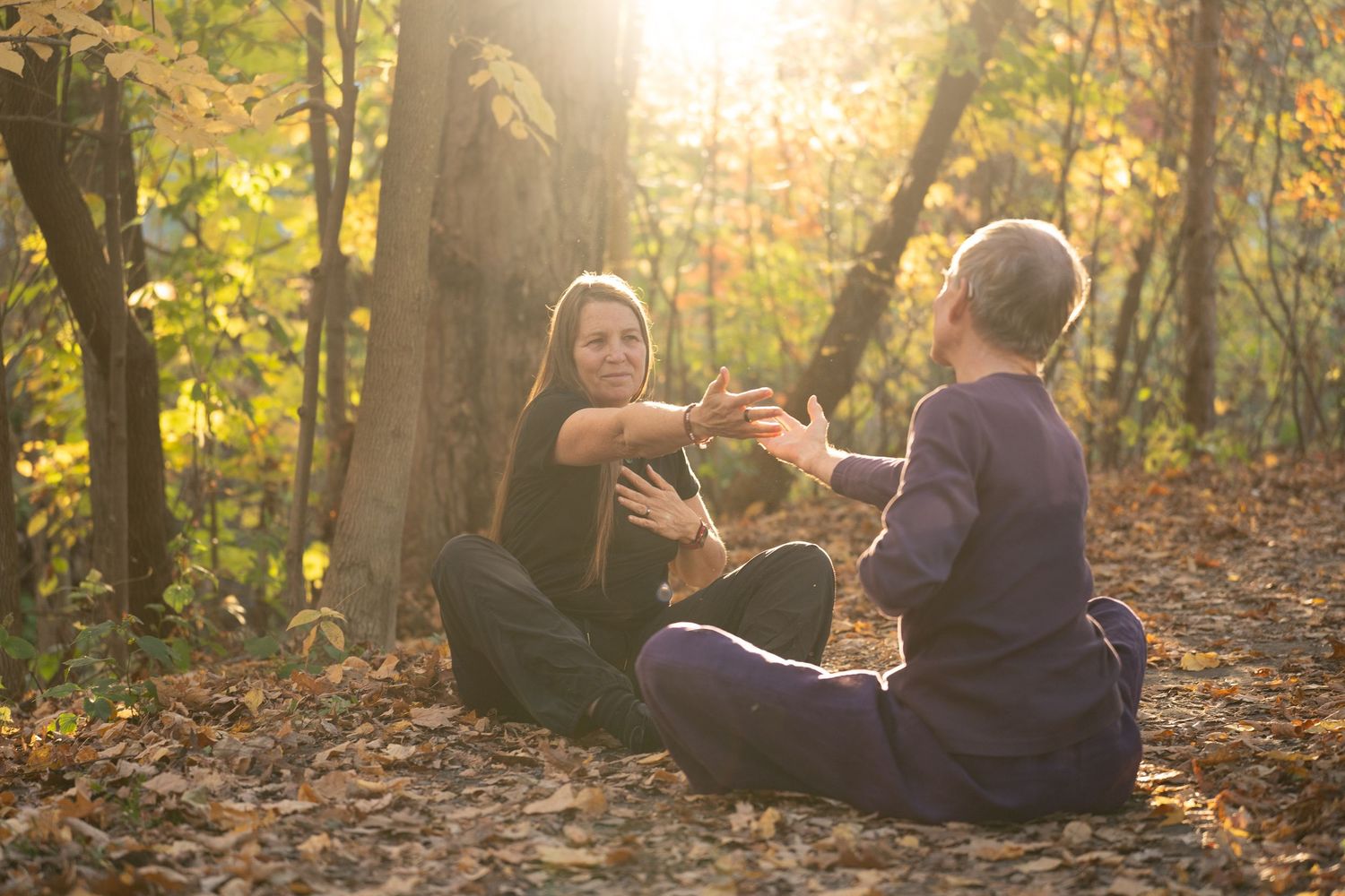 People relax on fallen autumn leaves in a sunlit forest during golden hour.