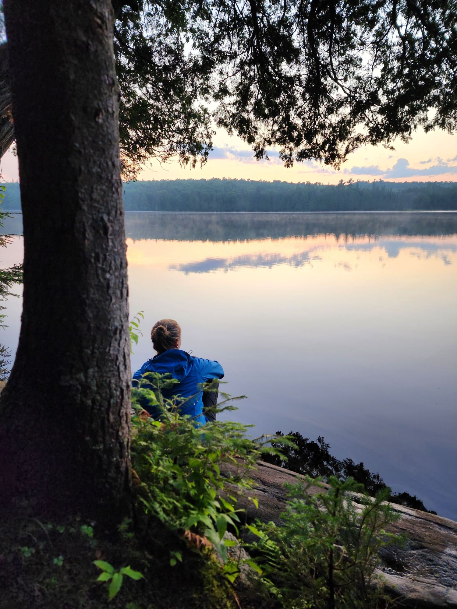Serene lakeside view at sunset with tall trees silhouetted against the calm water.