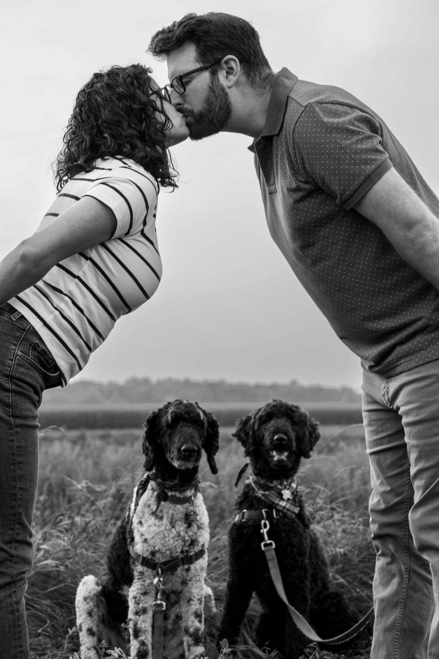couple kiss while dogs watch