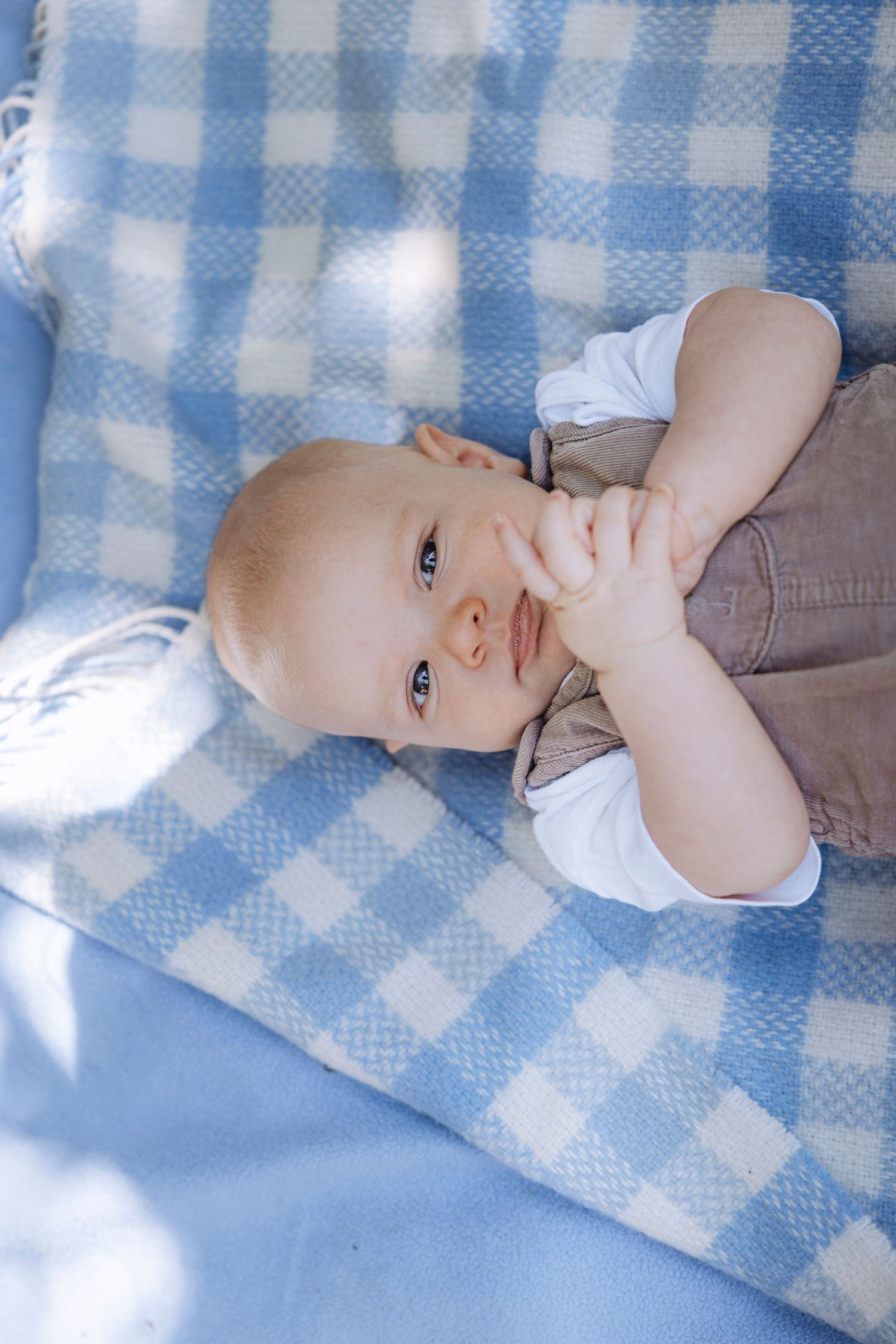 Cute baby lying on a blue checkered blanket, looking up with hands near face in sunlight.