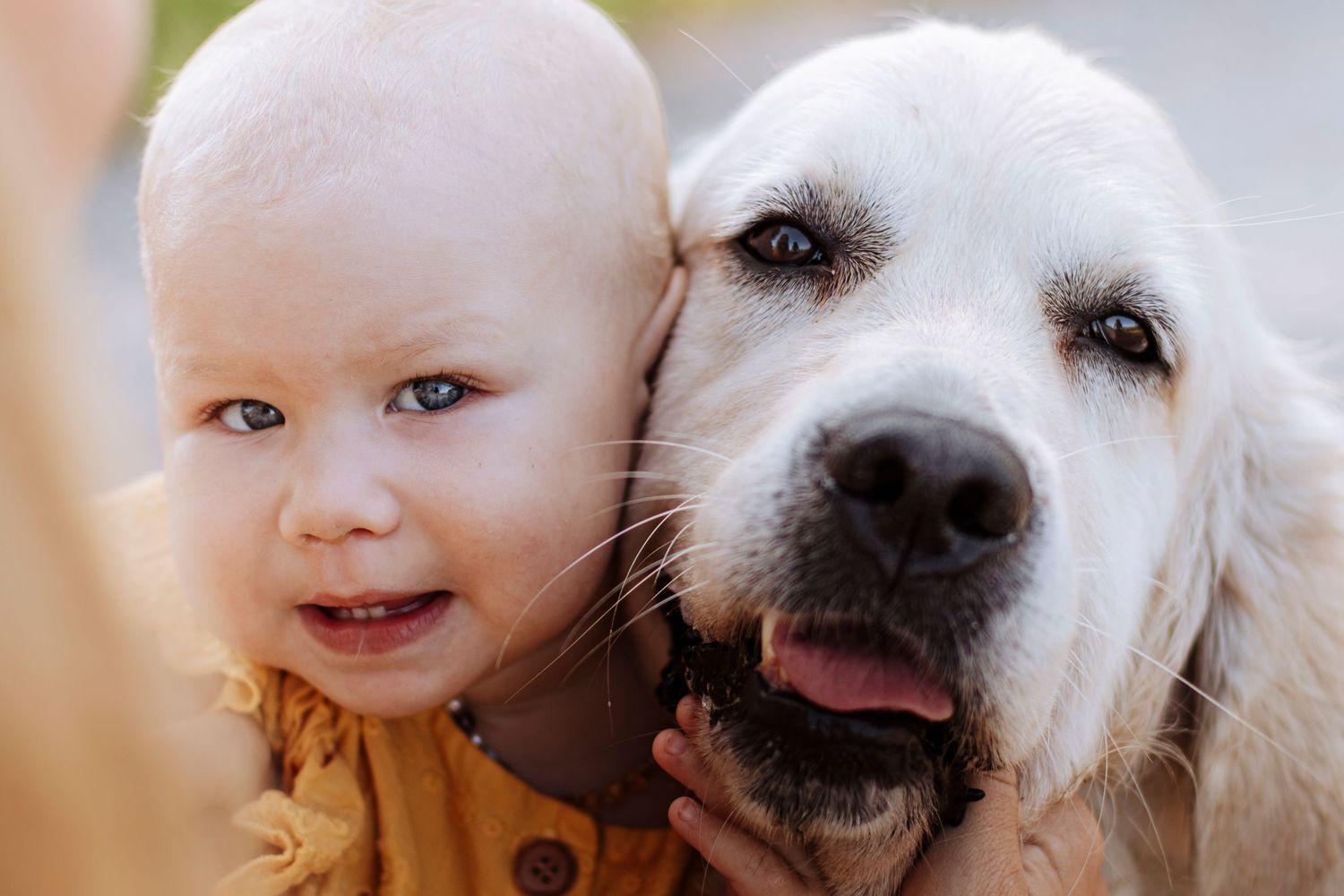 Smiling baby in yellow outfit snuggling with a golden retriever dog outdoors.