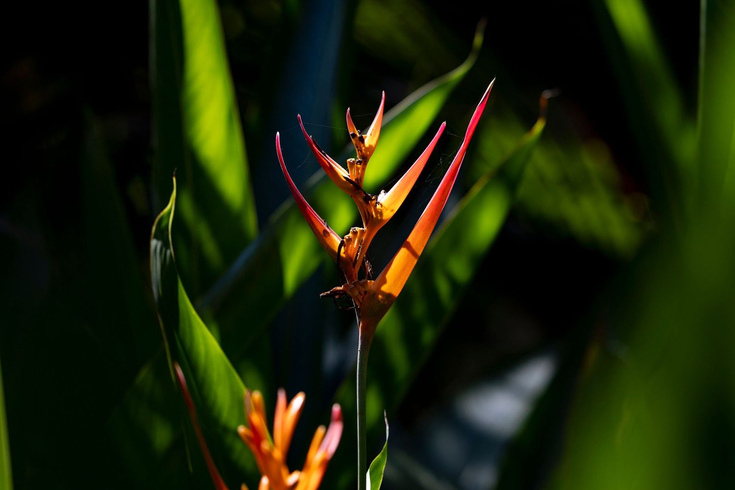 Travel & wildlife photography capturing nature’s raw beauty. Reise- & Wildlife-Fotografie, die die natürliche Schönheit.