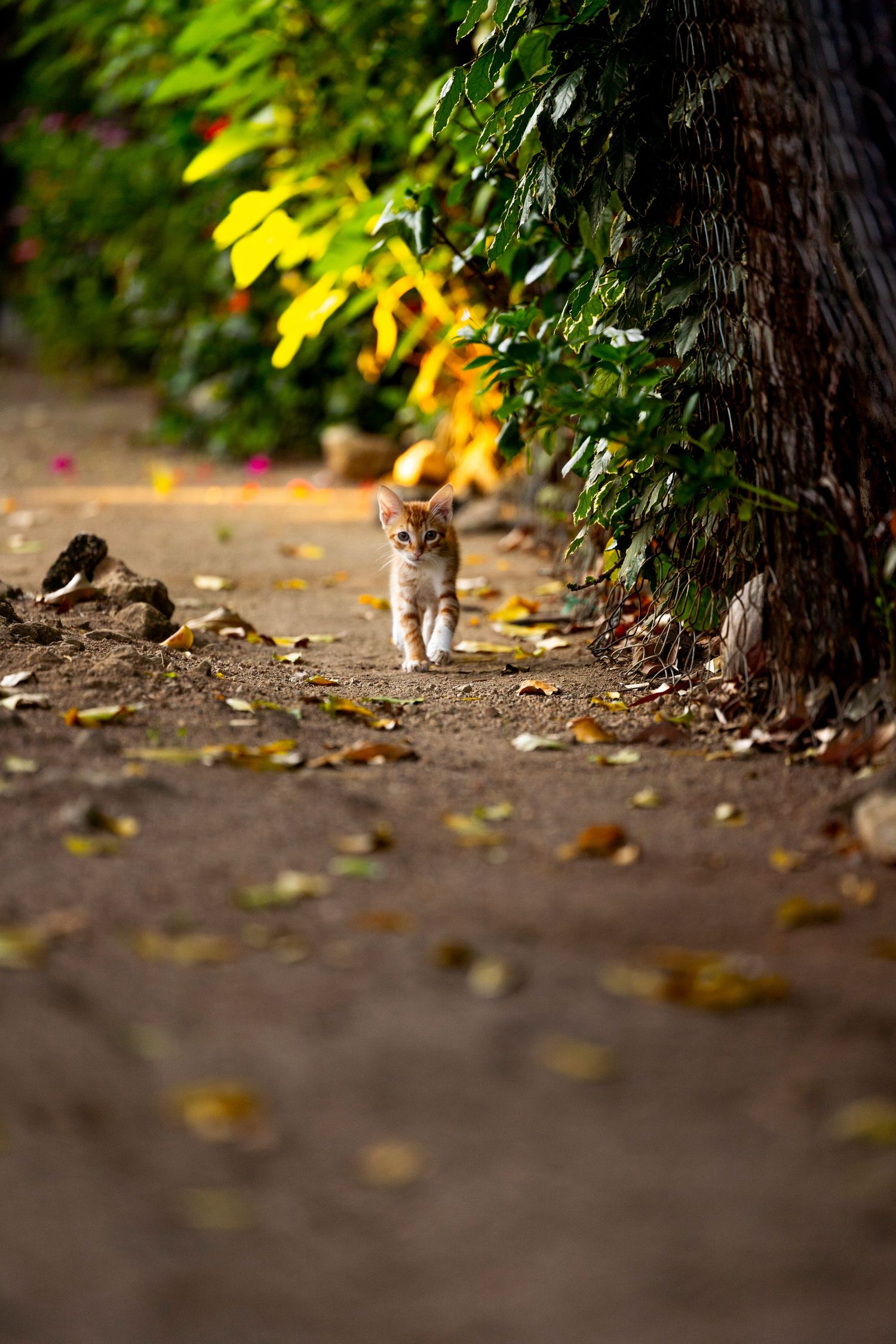 Travel & wildlife photography capturing nature’s raw beauty. Reise- & Wildlife-Fotografie, die die natürliche Schönheit.