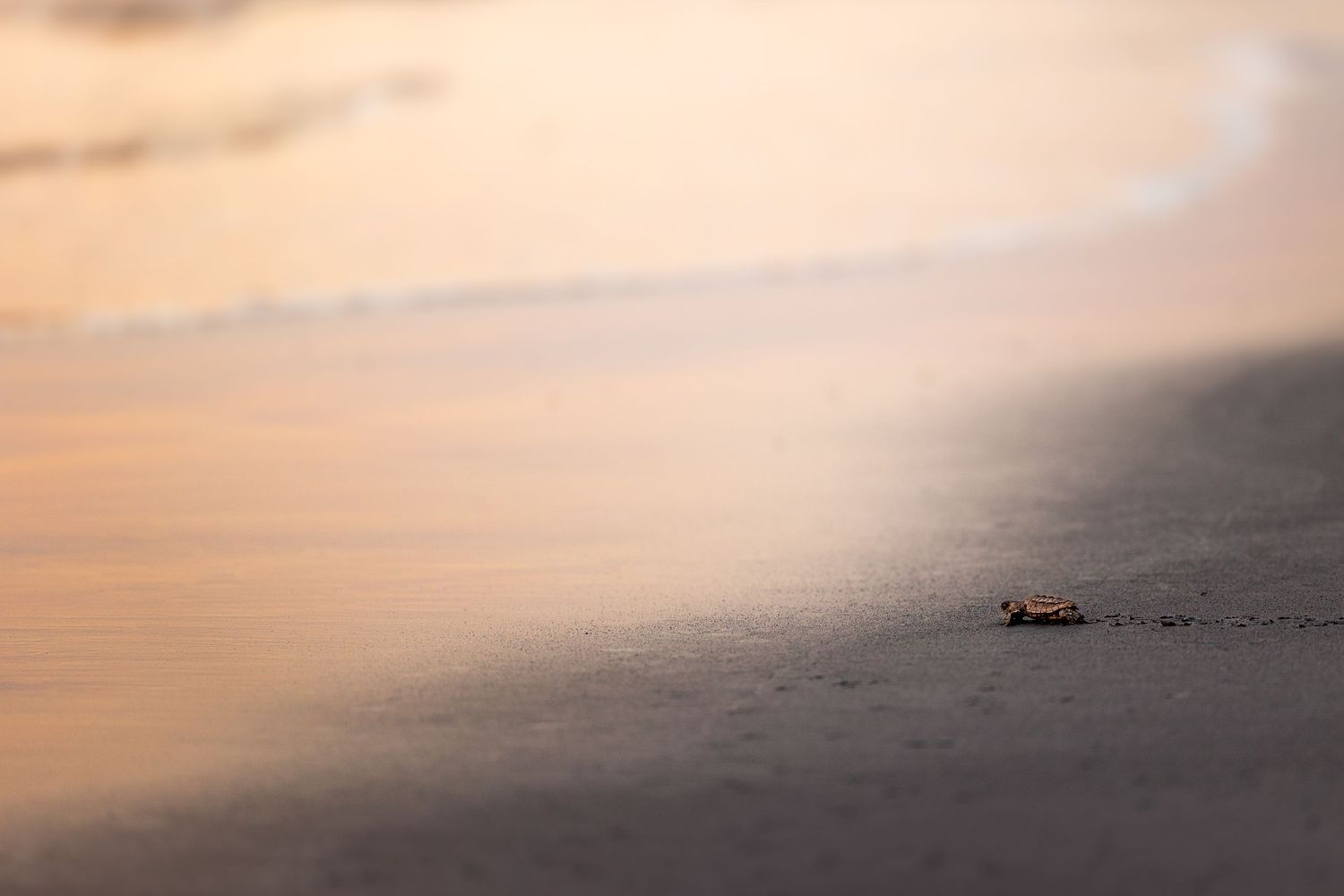 Travel & wildlife photography capturing nature’s raw beauty. Reise- & Wildlife-Fotografie, die die natürliche Schönheit.