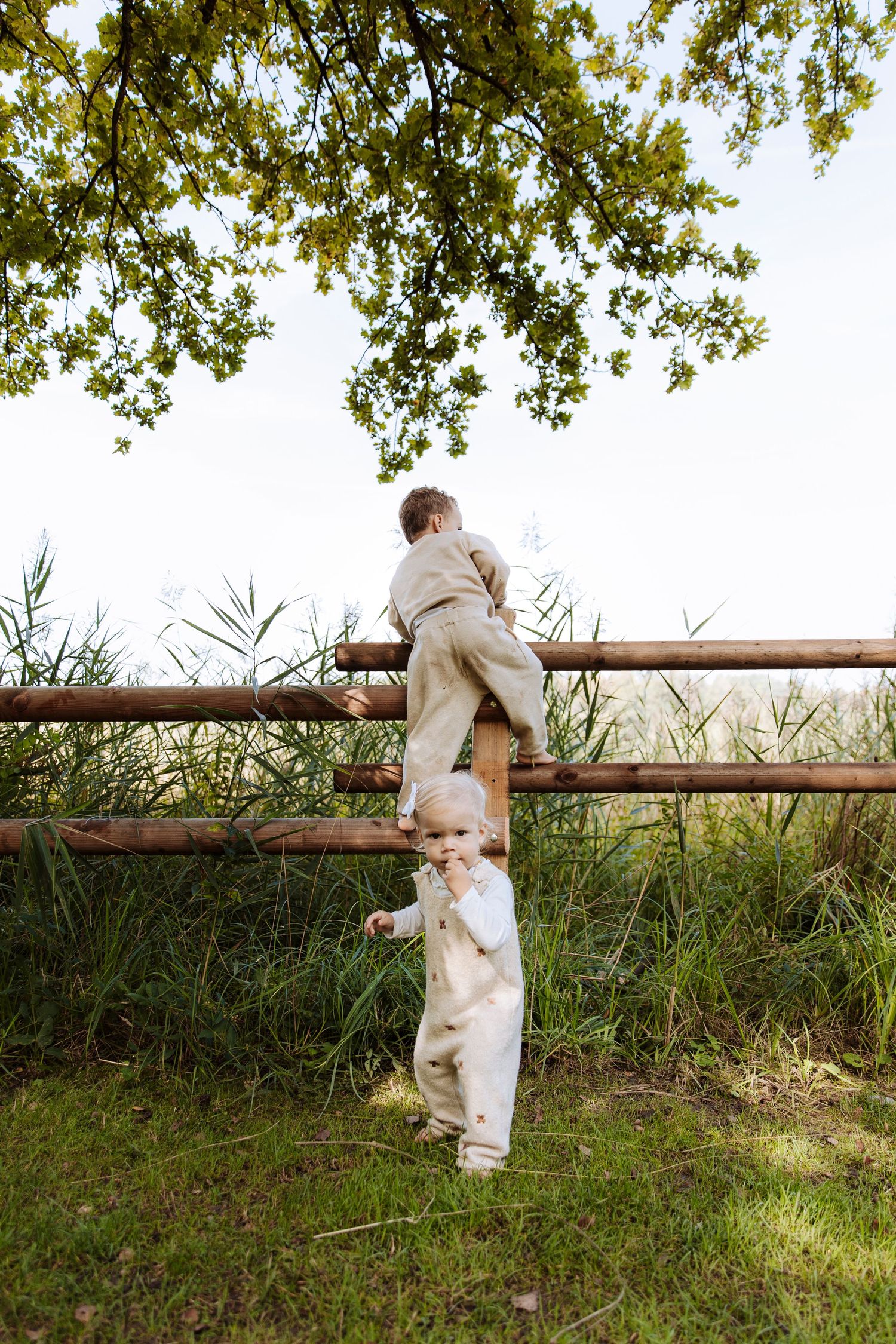 Two young boys in neutral linen outfits climbing a rustic wooden fence surrounded by green reeds.