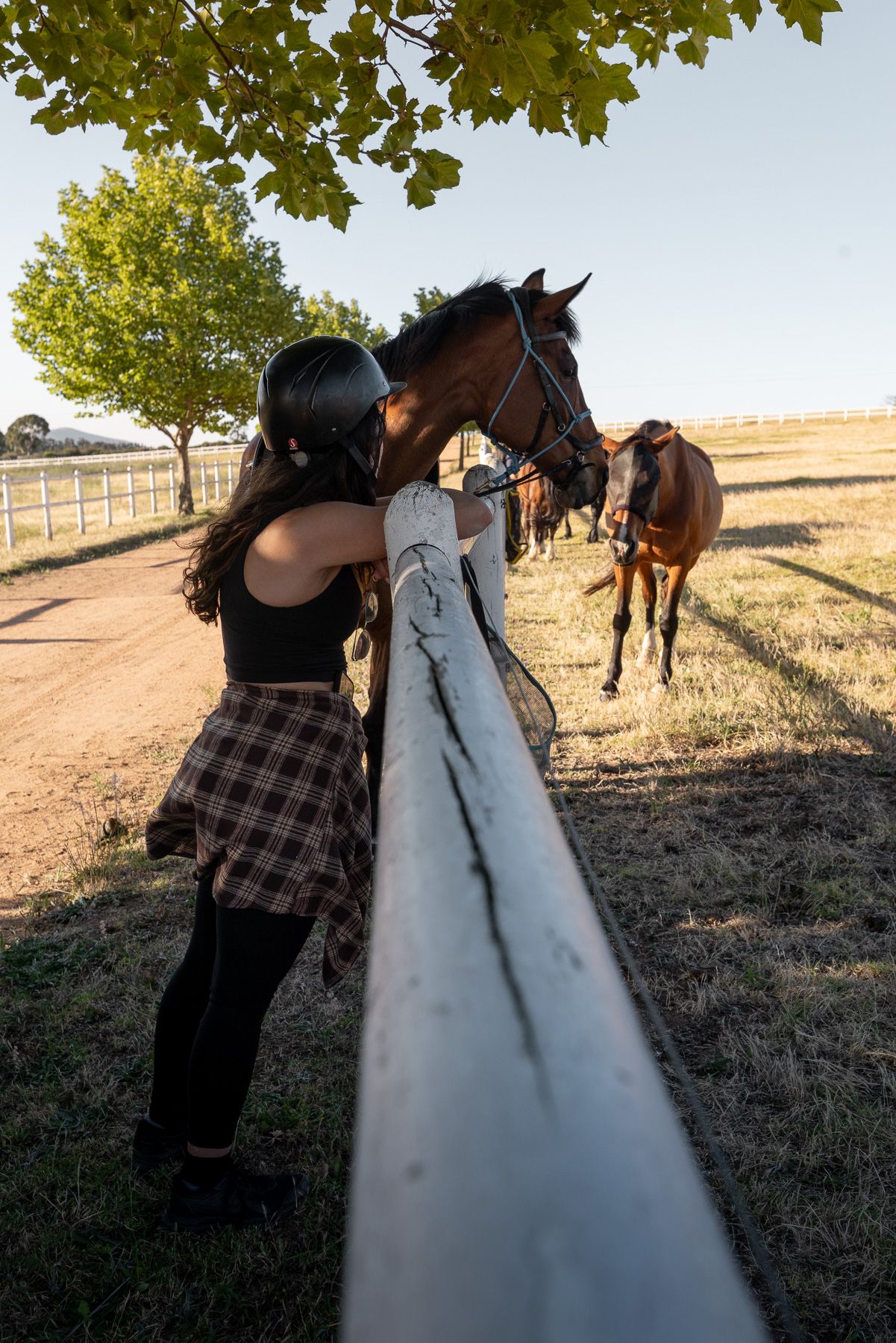 Young woman in plaid skirt reaching over a white fence to pet a brown horse at golden hour.