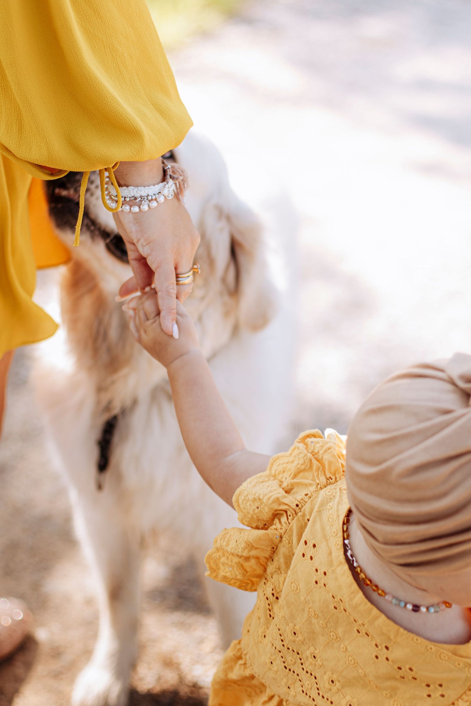 Toddler girl in yellow dress gently touching a white dog's nose with mother standing nearby.
