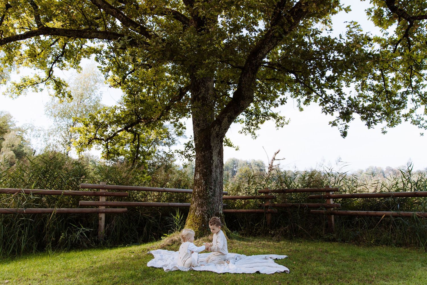 Two children sit together on a white blanket beneath a large oak tree in a lush green countryside.