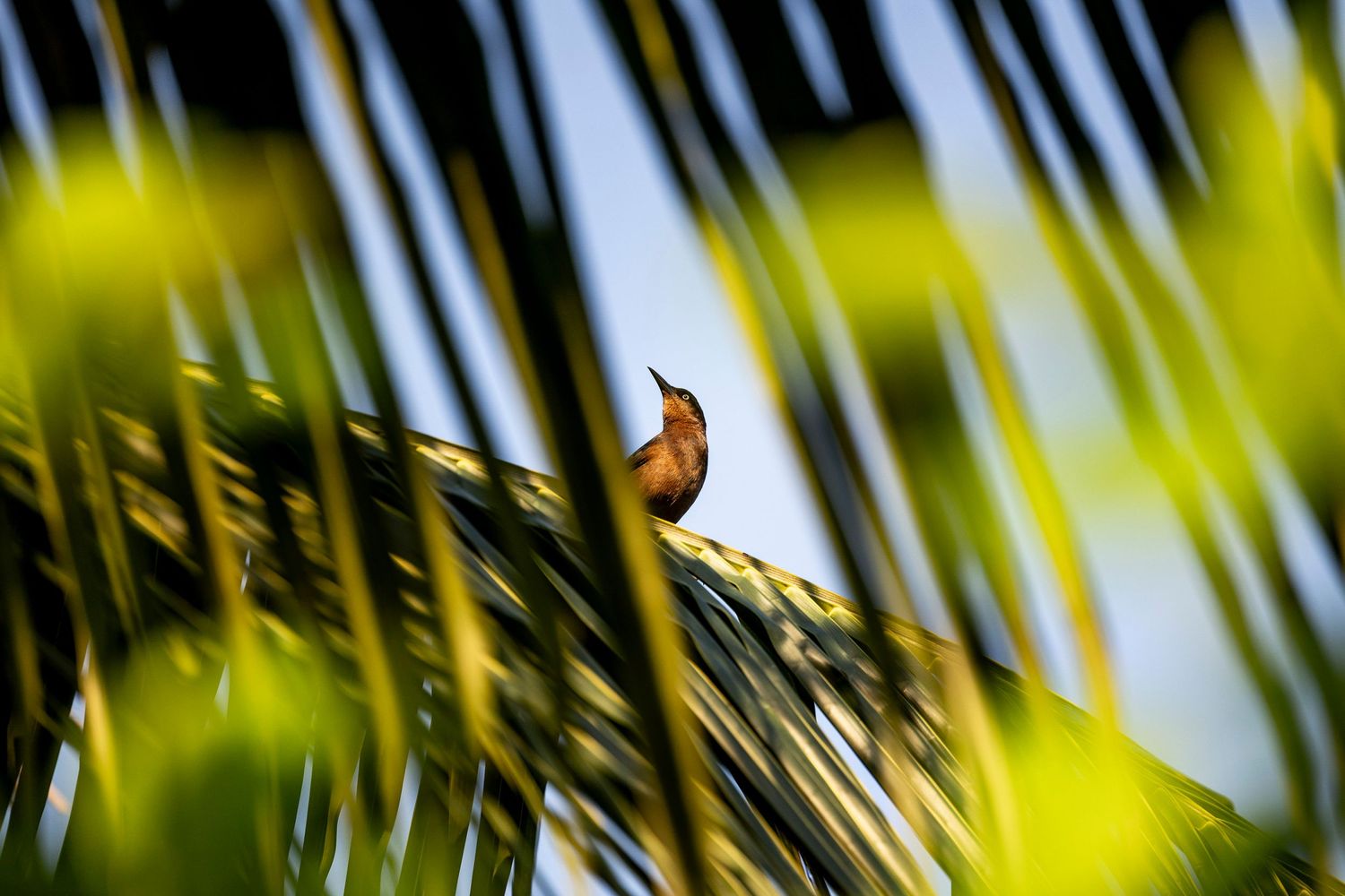 Travel & wildlife photography capturing nature’s raw beauty. Reise- & Wildlife-Fotografie, die die natürliche Schönheit.