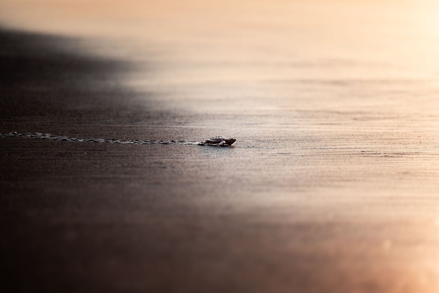 Travel & wildlife photography capturing nature’s raw beauty. Reise- & Wildlife-Fotografie, die die natürliche Schönheit.