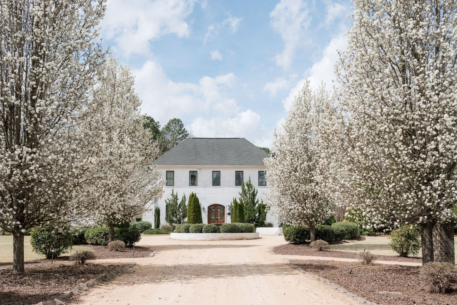 White colonial estate framed by blooming spring trees lining a gravel driveway under a blue sky.