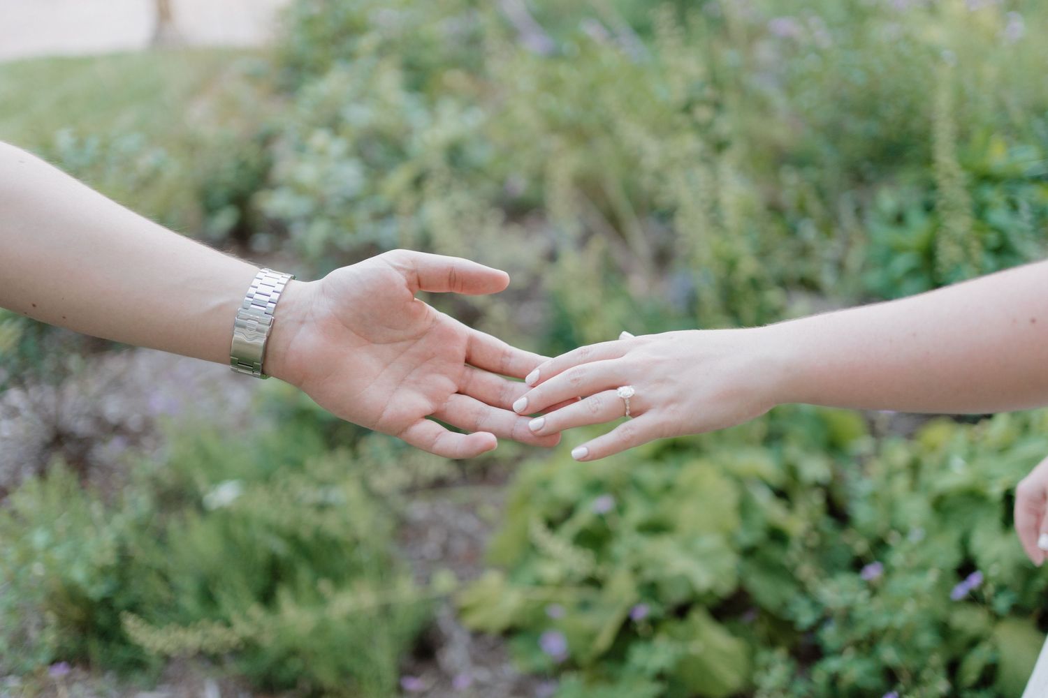Two hands reaching towards each other against a soft green background, creating a romantic and intimate scene.