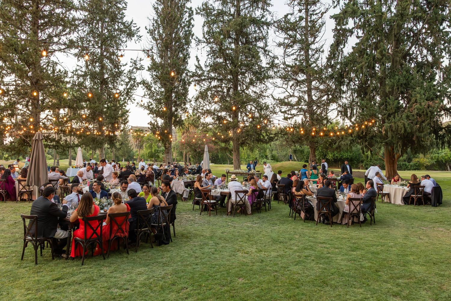 Outdoor wedding reception guests seated at long tables under trees during golden hour.