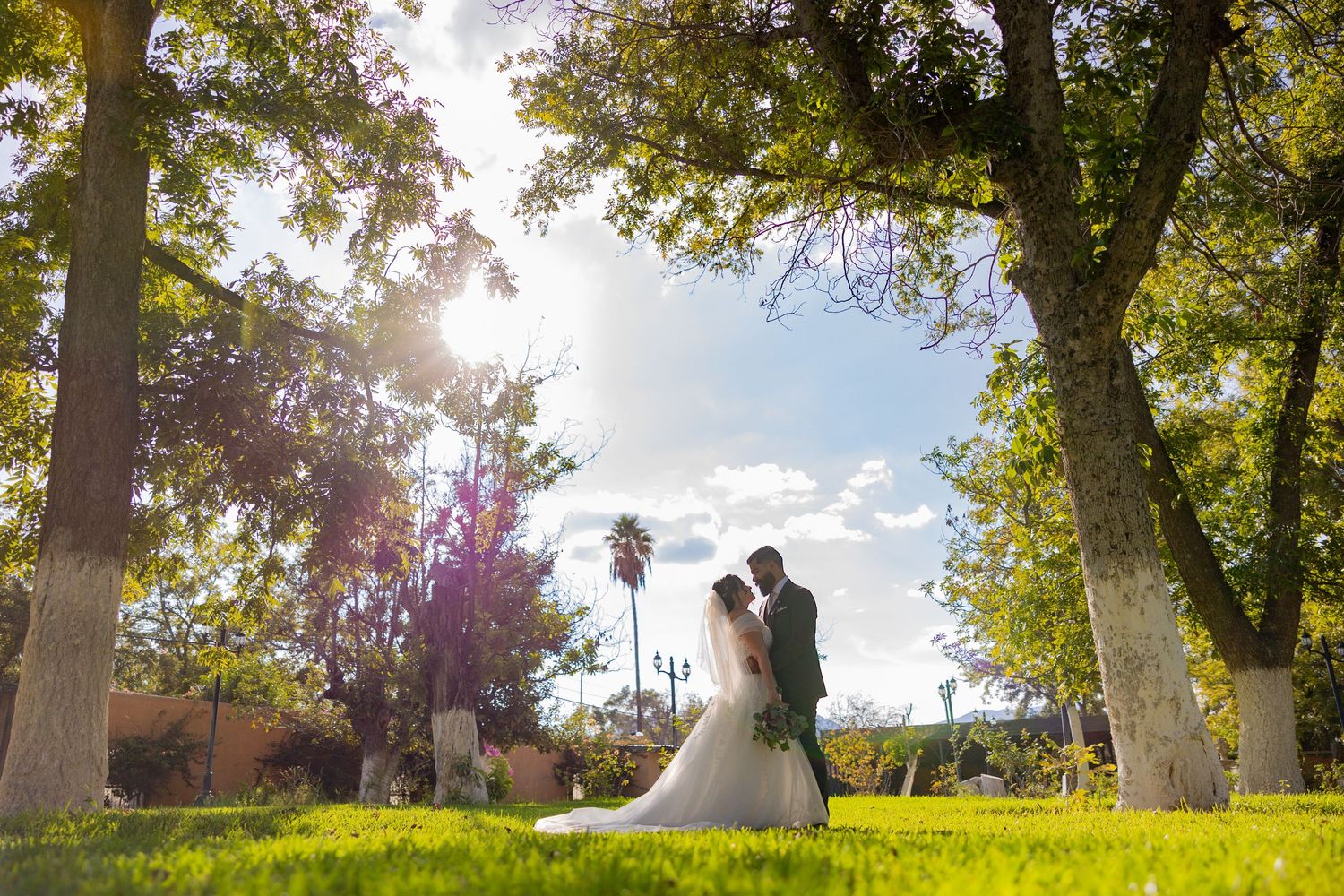 A backlit wedding scene shows a couple standing between towering trees on a sunlit lawn. Boda en Parras Coahuila, Fotógrafo de bodas