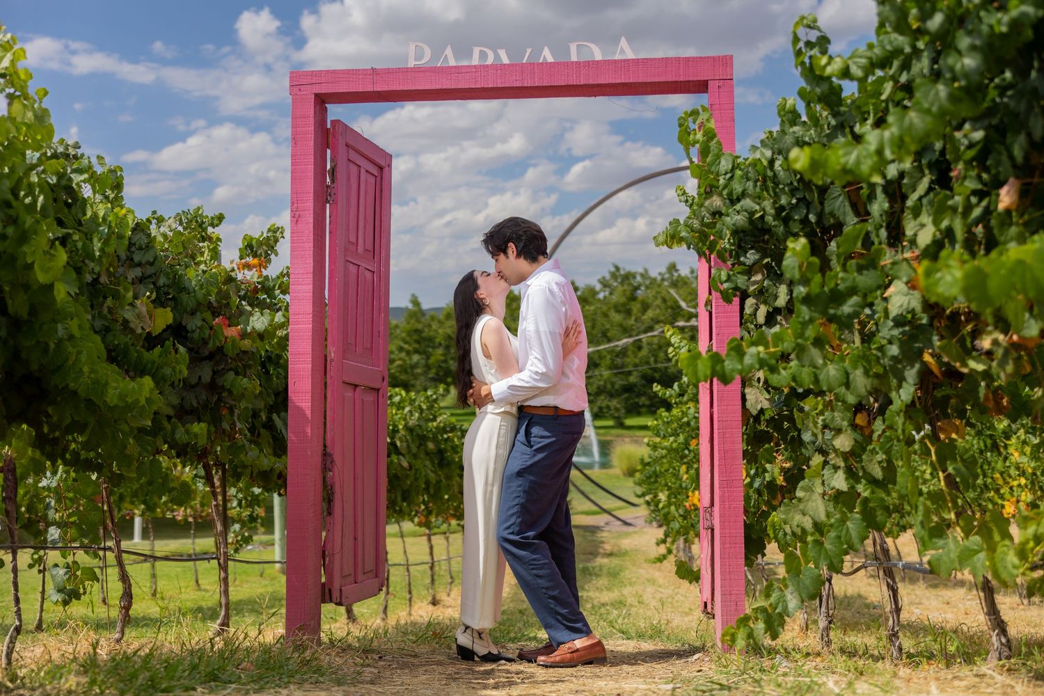 A tender moment shared beneath a pink archway in a scenic vineyard setting. Propuesta de matrimonio Parras, Fotografo