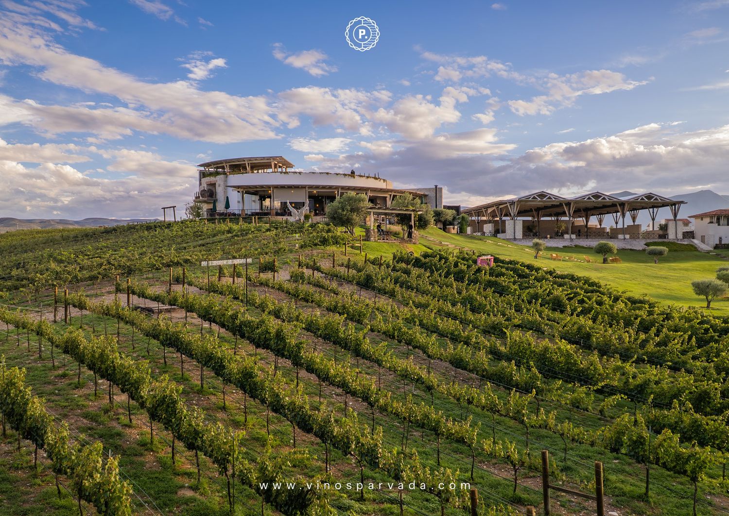 Panoramic view of rolling hills with lush green vineyard rows stretching into the distance under a cloudy blue sky.