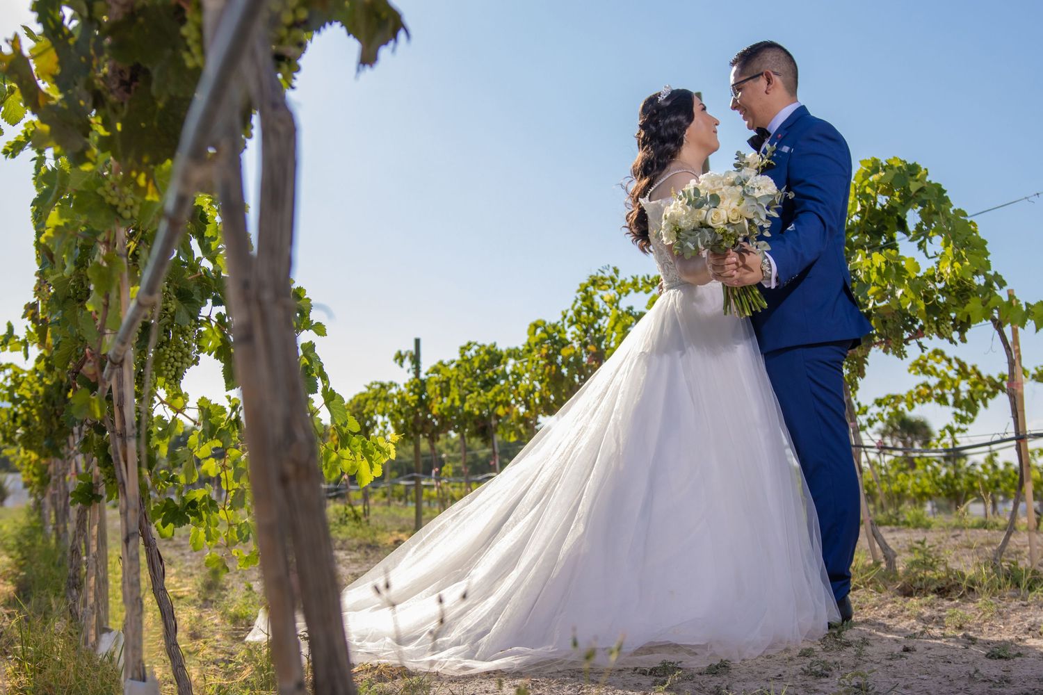 Couple stands together among vineyard rows with flowing wedding dress in sunlight. boda en Parras Coahuila fotógrafo