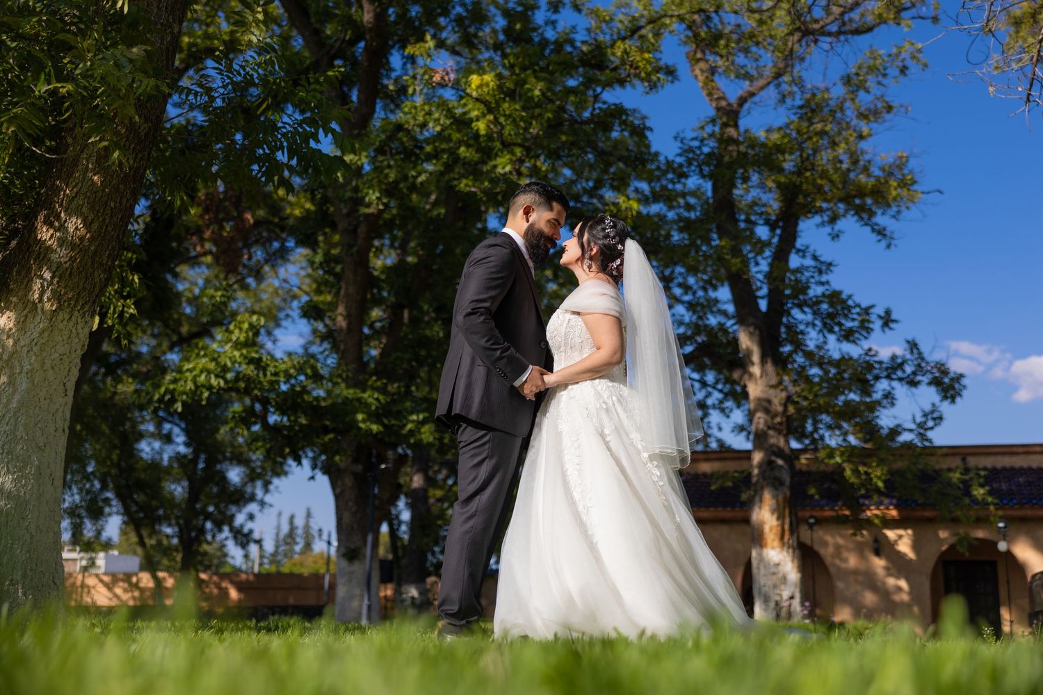 A romantic wedding portrait captured on a grassy hill with sunlit trees in the background. Boda en Parras Coahuila, Fotógrafo de bodas