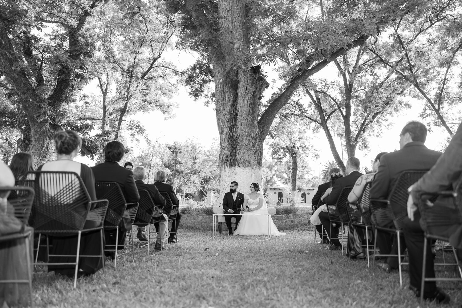 Black and white photo of an outdoor wedding ceremony under tall trees with guests seated on white chairs. Boda en Parras Coahuila, Foto